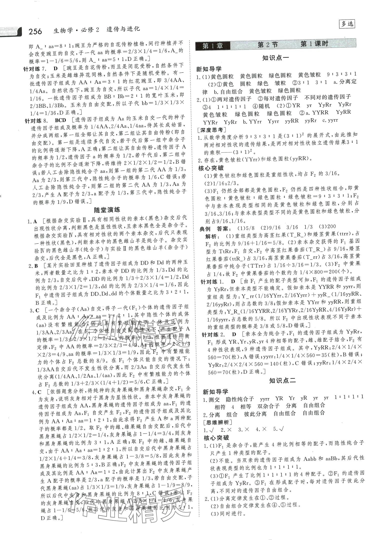 2024年金版新學(xué)案高中生物必修2人教版 第3頁