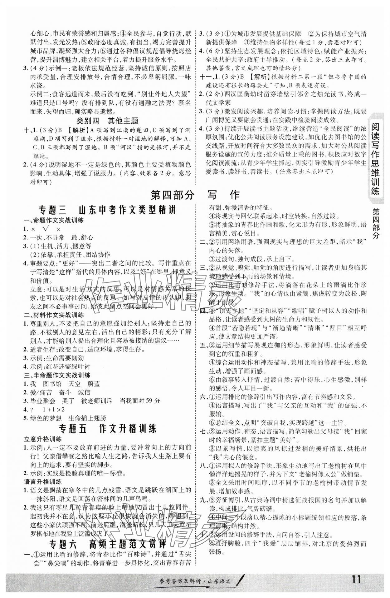 2024年一戰(zhàn)成名考前新方案語文山東專版 第11頁