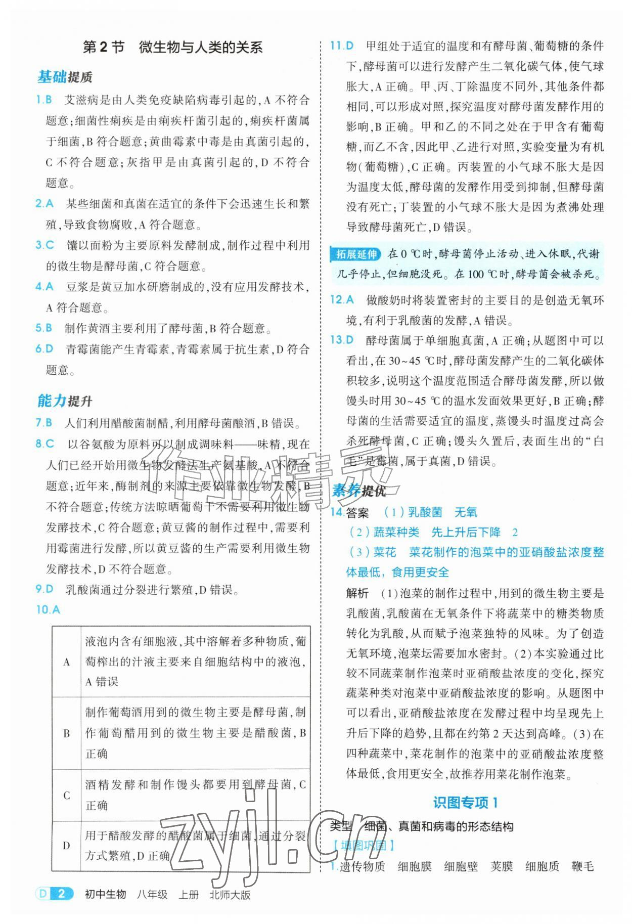 2026年5年中考3年模拟八年级生物上册北师大版&nbsp;参考答案第2页