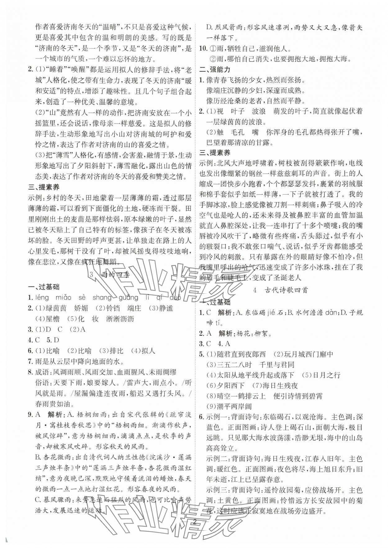 2025年考点专练七年级语文上册人教版深圳专版 第2页