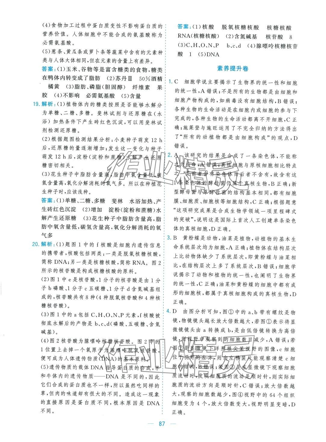 2024年高考領(lǐng)航高中同步測(cè)試卷高中生物必修1人教版 第3頁(yè)