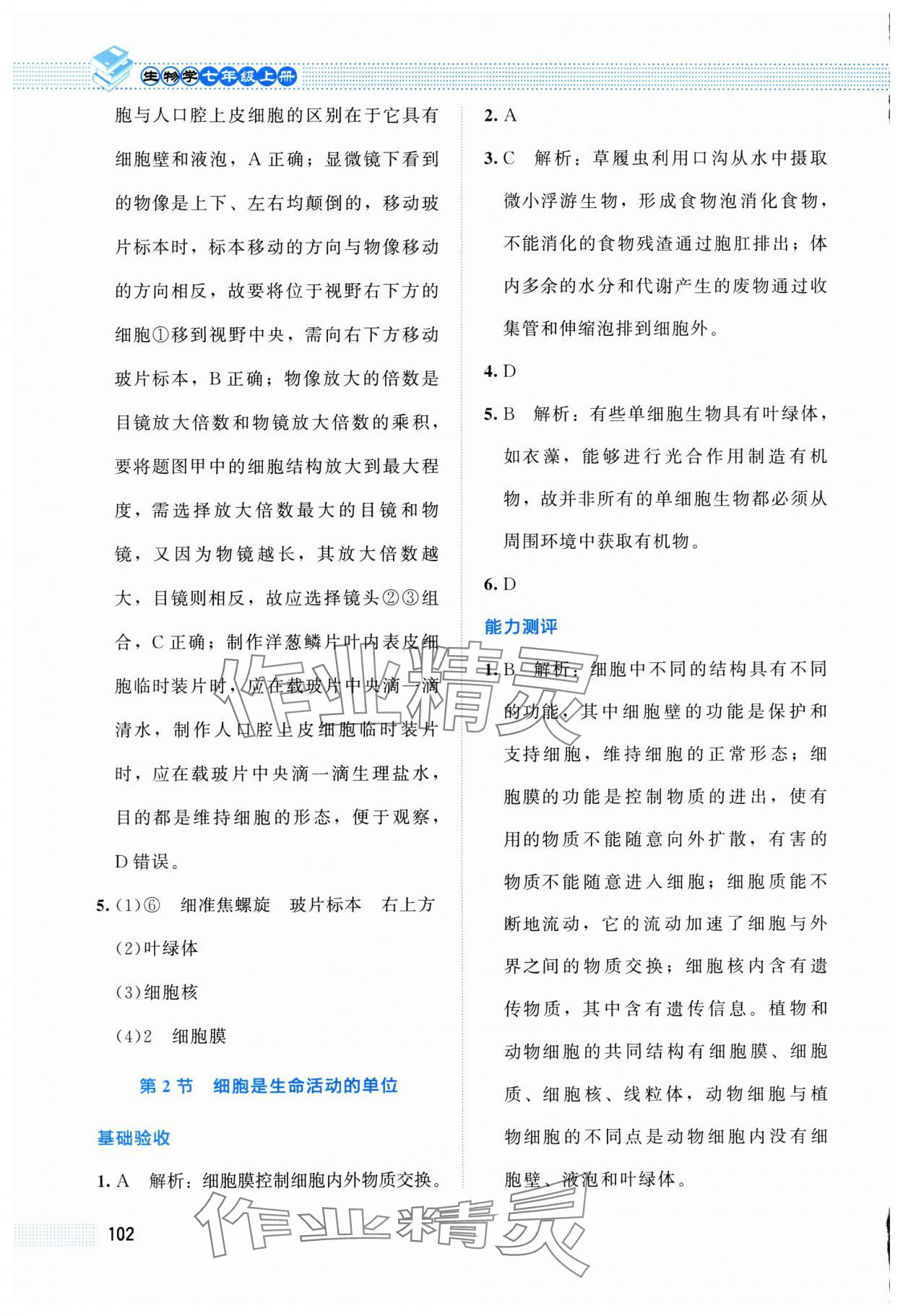 2025年课堂精练七年级生物上册北师大版双色 第4页