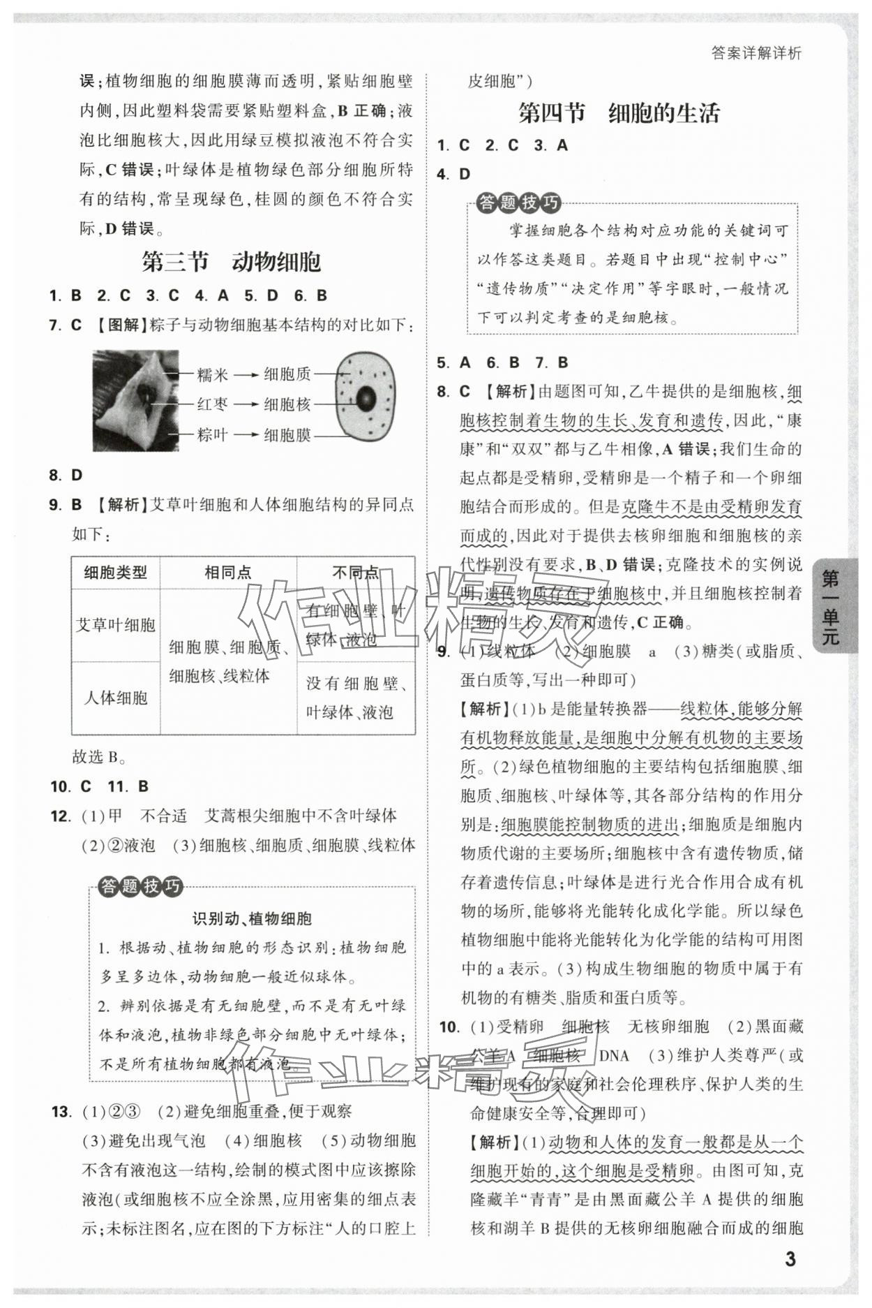 2025年萬唯中考情境題七年級生物上冊人教版 參考答案第3頁