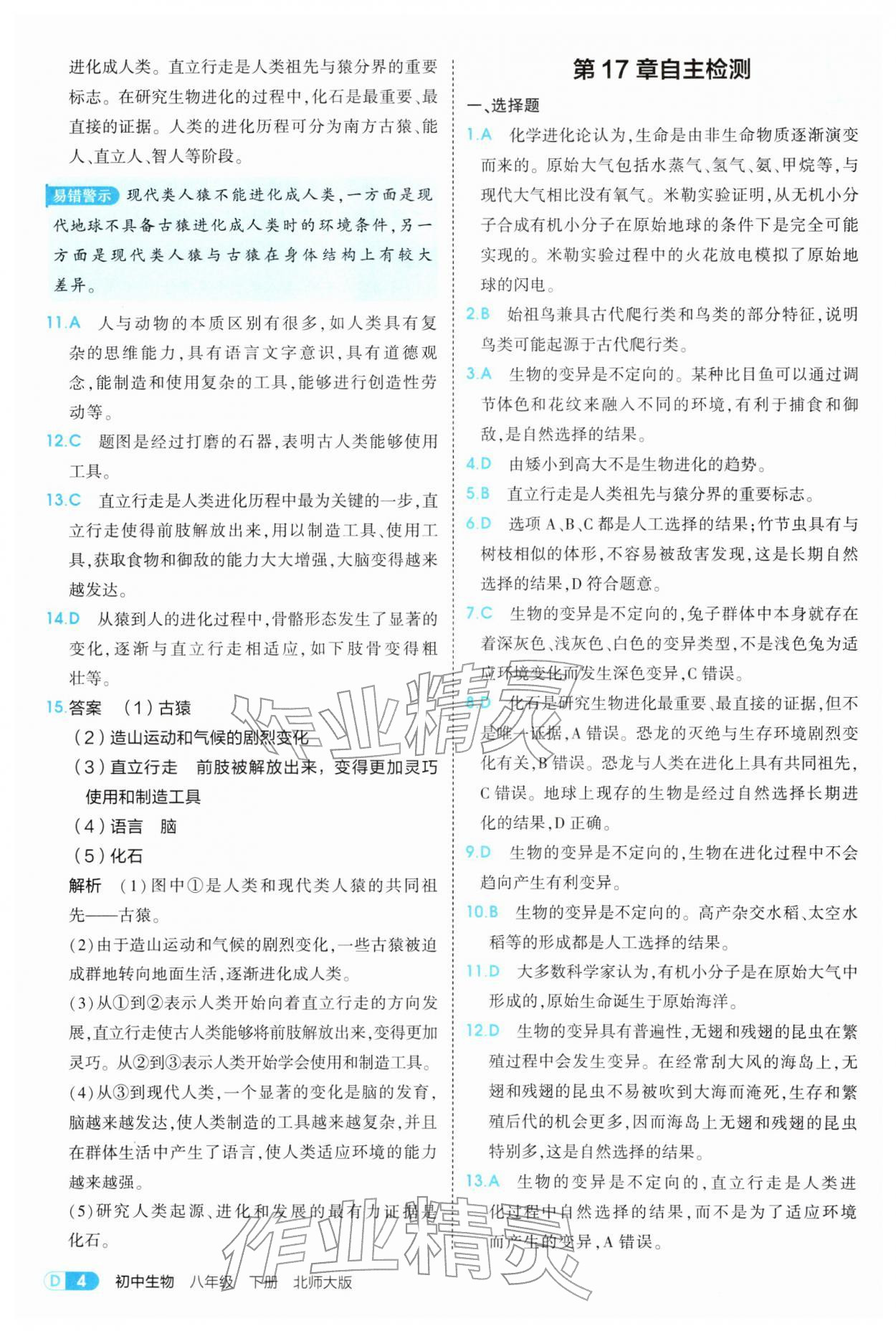 2026年5年中考3年模拟八年级生物下册北师大版&nbsp;参考答案第4页