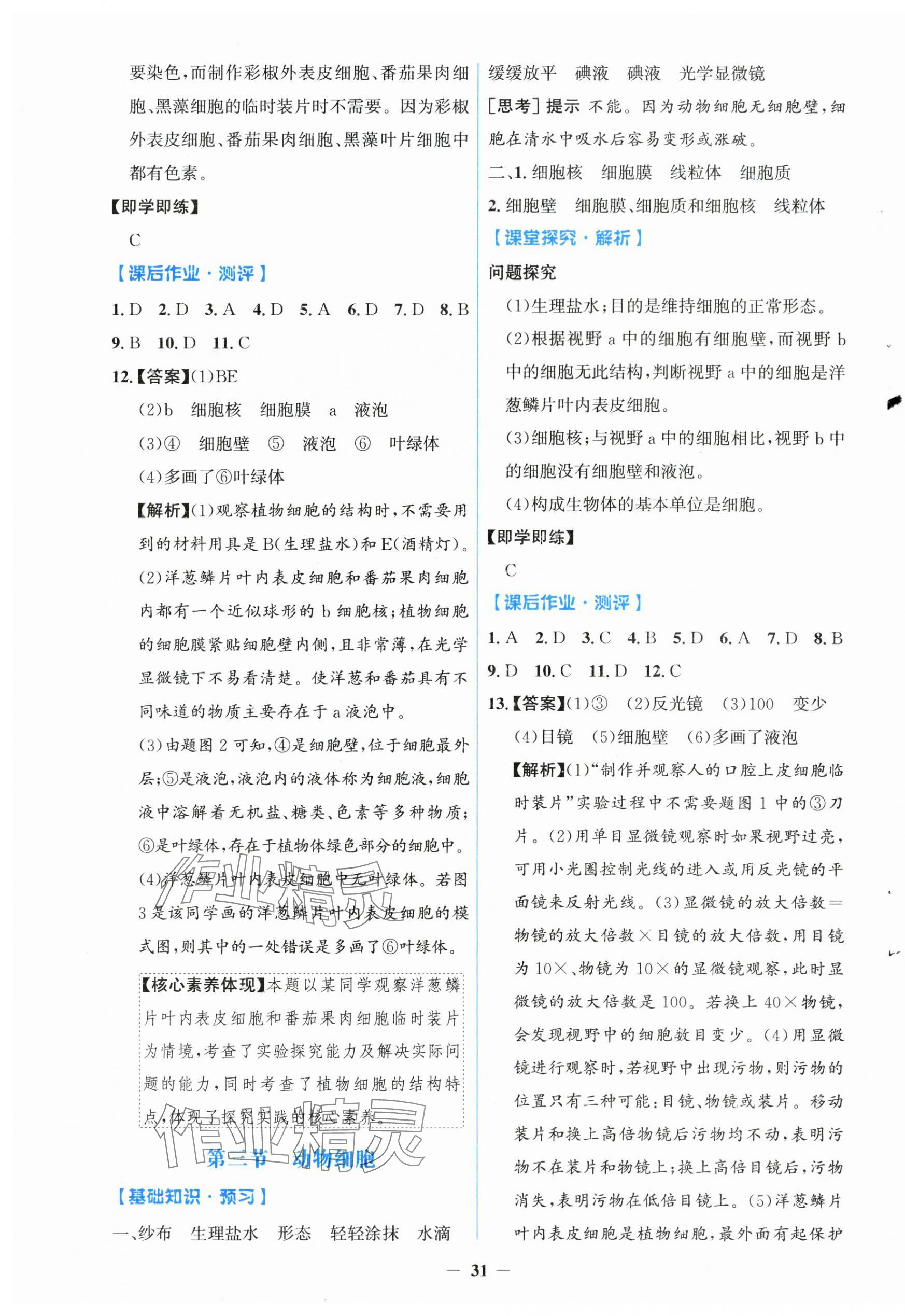 2025年同步解析與測評學考練七年級生物上冊人教版 第3頁