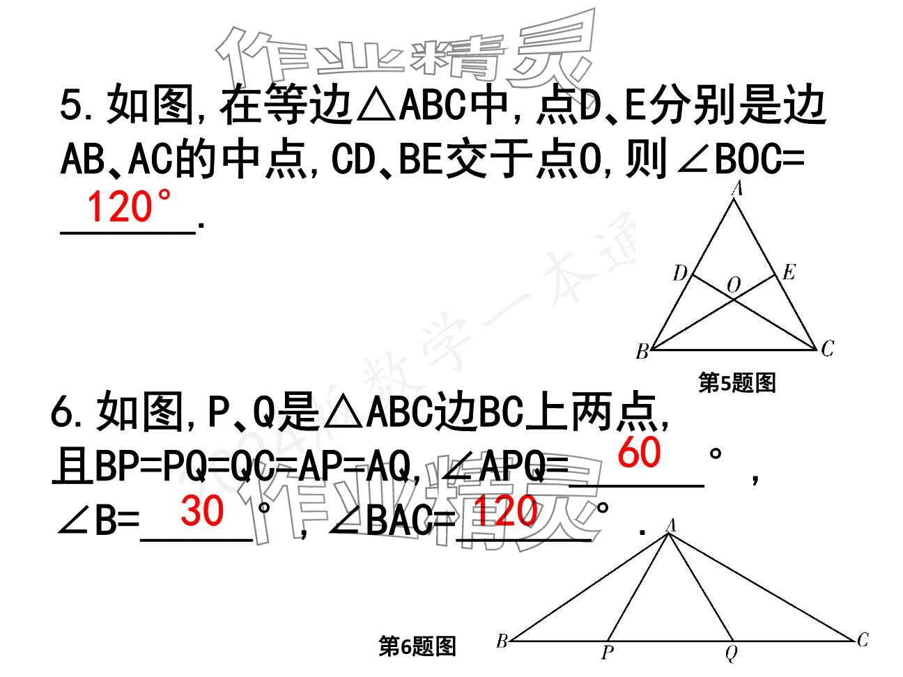 2025年一本通武漢出版社八年級(jí)數(shù)學(xué)下冊(cè)北師大版精簡(jiǎn)版 參考答案第16頁(yè)