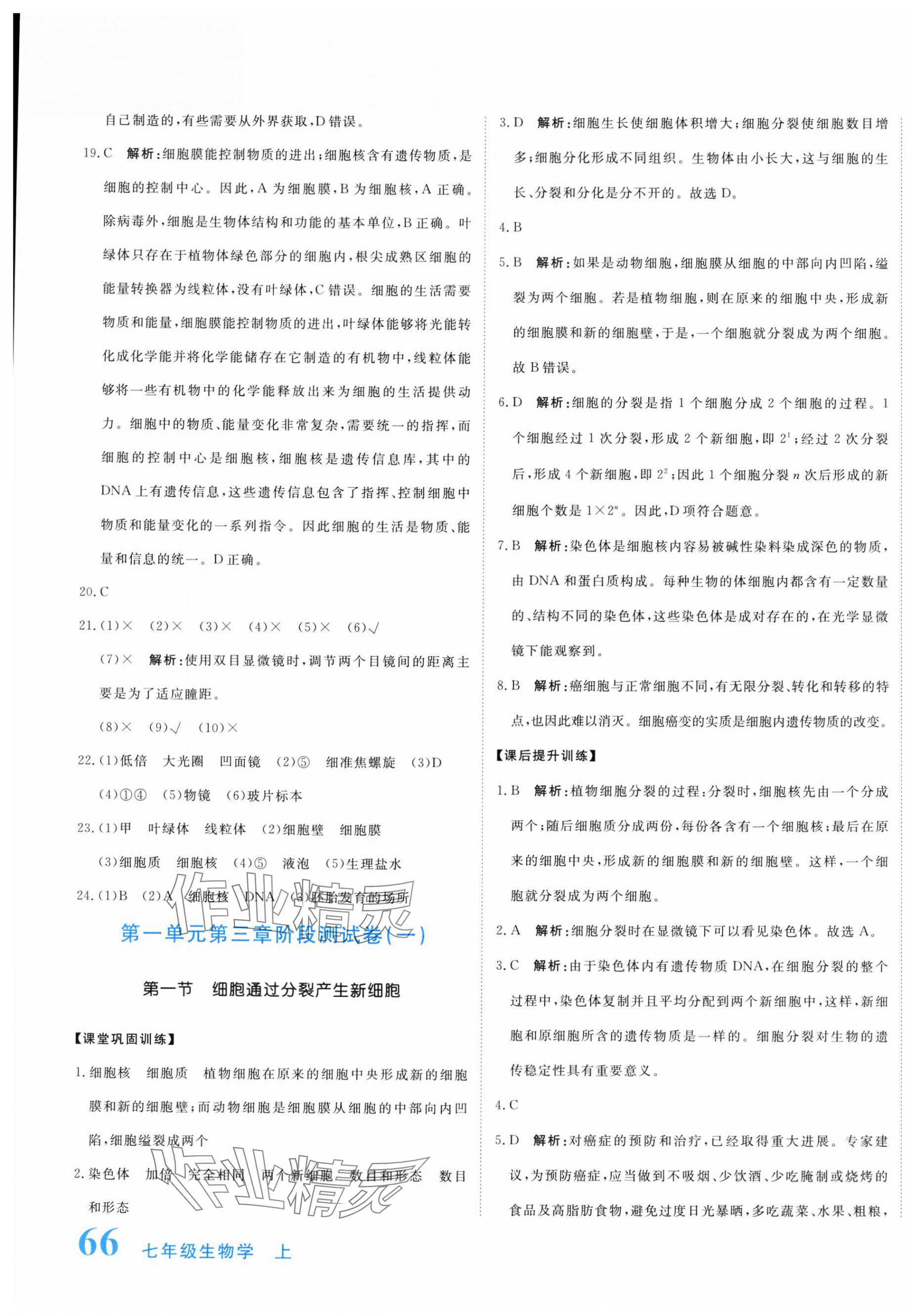 2025年提分教练七年级生物上册人教版 第7页