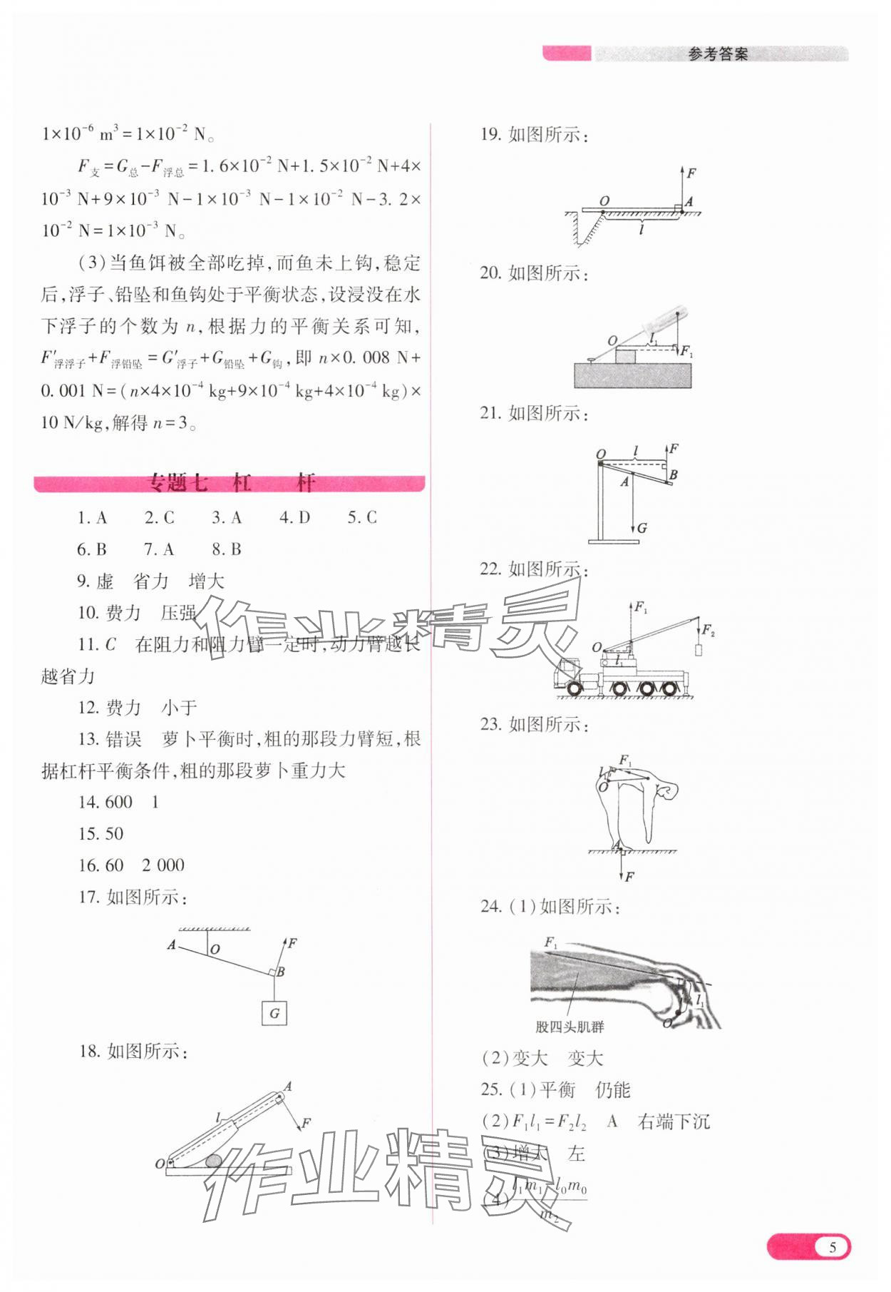 2025年中考復(fù)習(xí)指導(dǎo)與優(yōu)化訓(xùn)練物理山西專版 第5頁(yè)