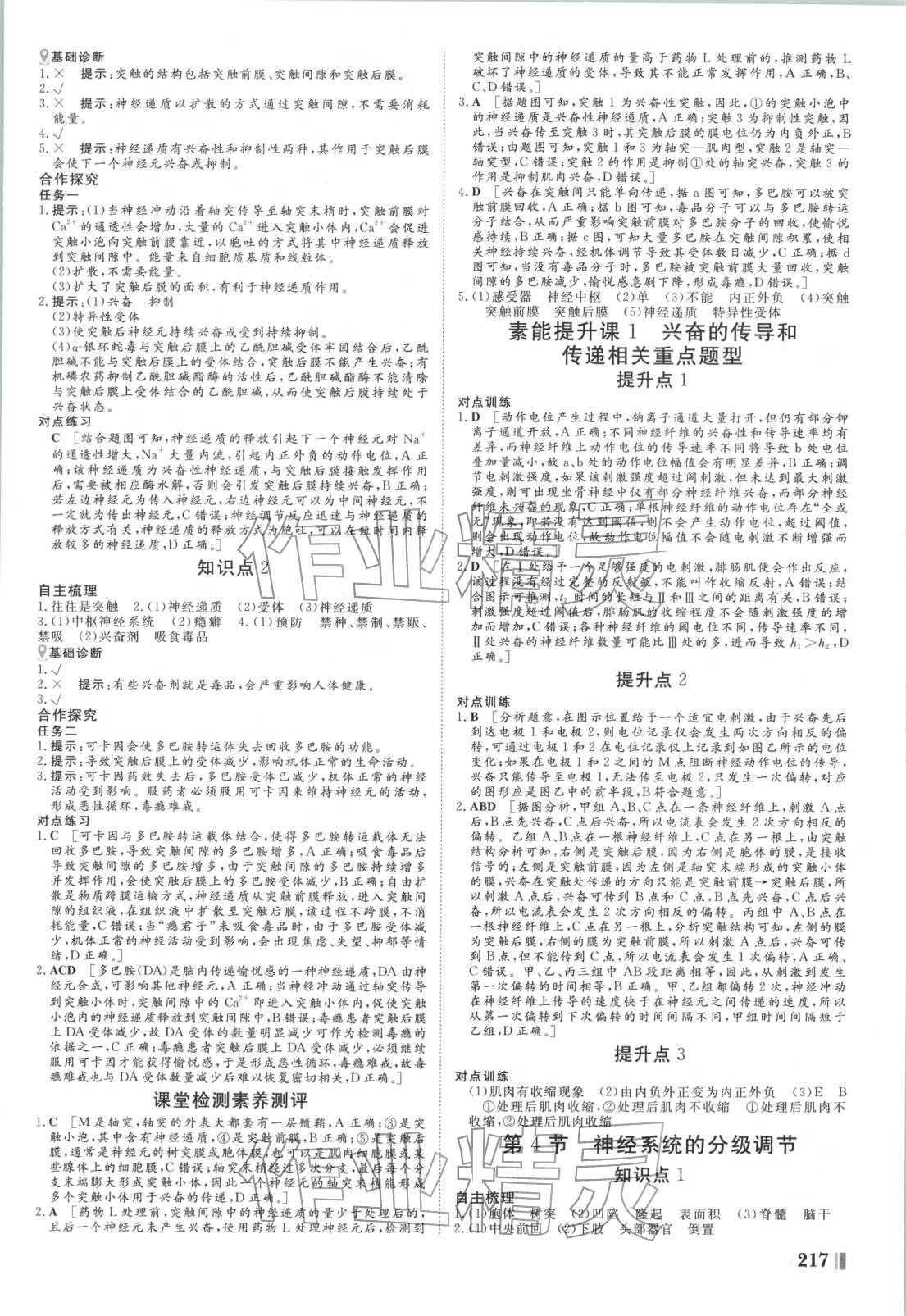 2025年非常学案高中生物选择性必修第一册人教版 第5页