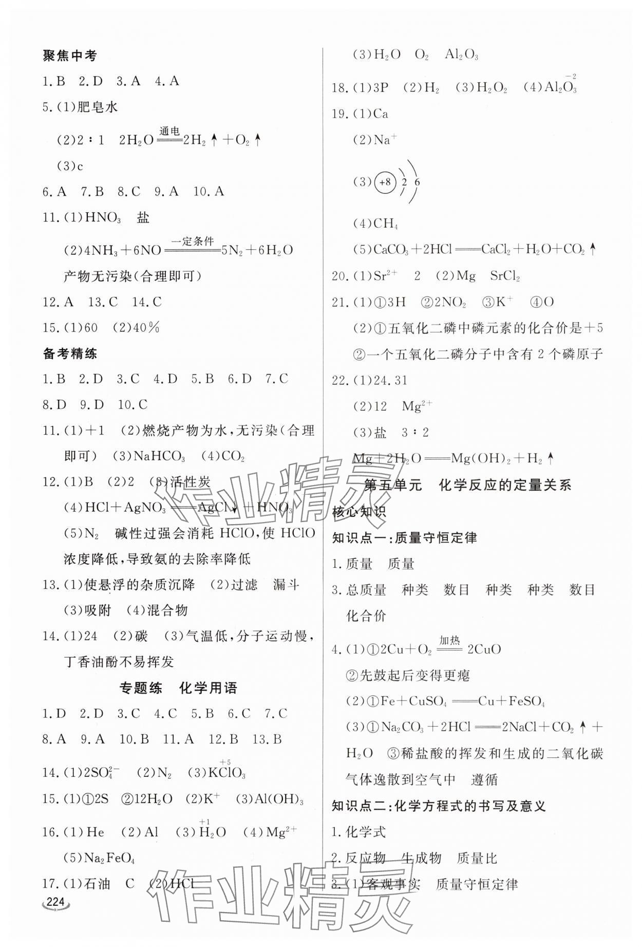 2025年初中學(xué)業(yè)水平考試備考指導(dǎo)化學(xué)中考臨沂專版&nbsp;參考答案第5頁(yè)