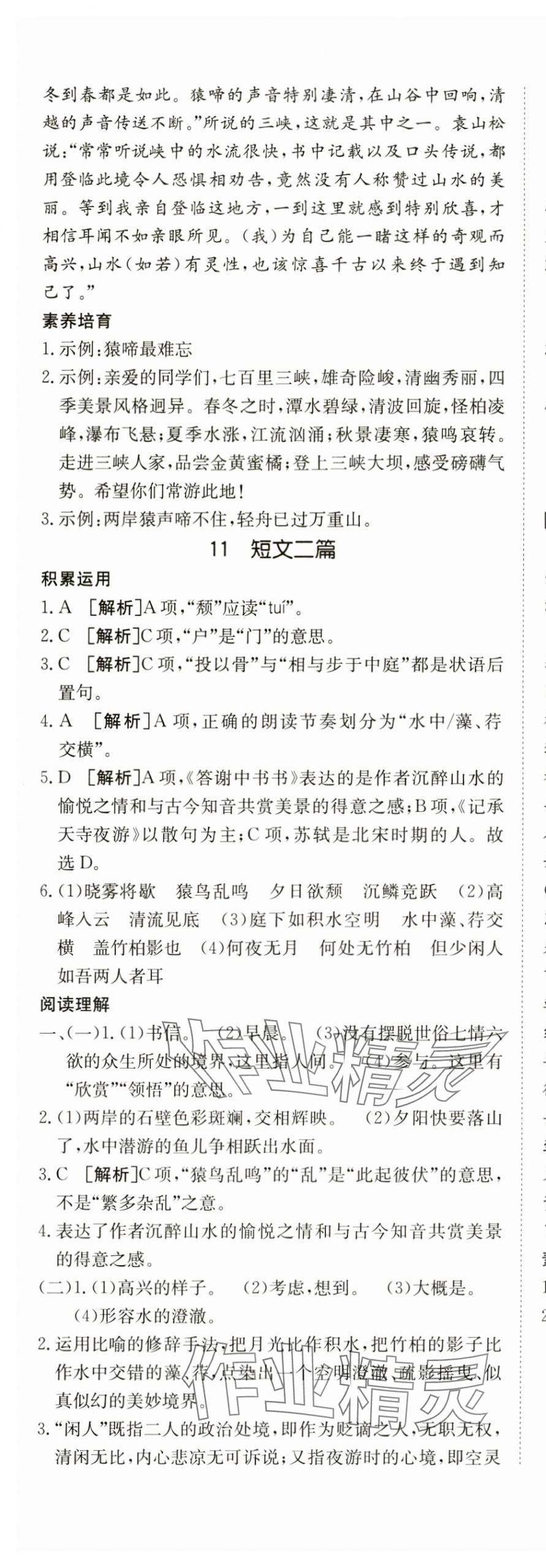 2024年同行學(xué)案學(xué)練測八年級(jí)語文上冊人教版 第17頁