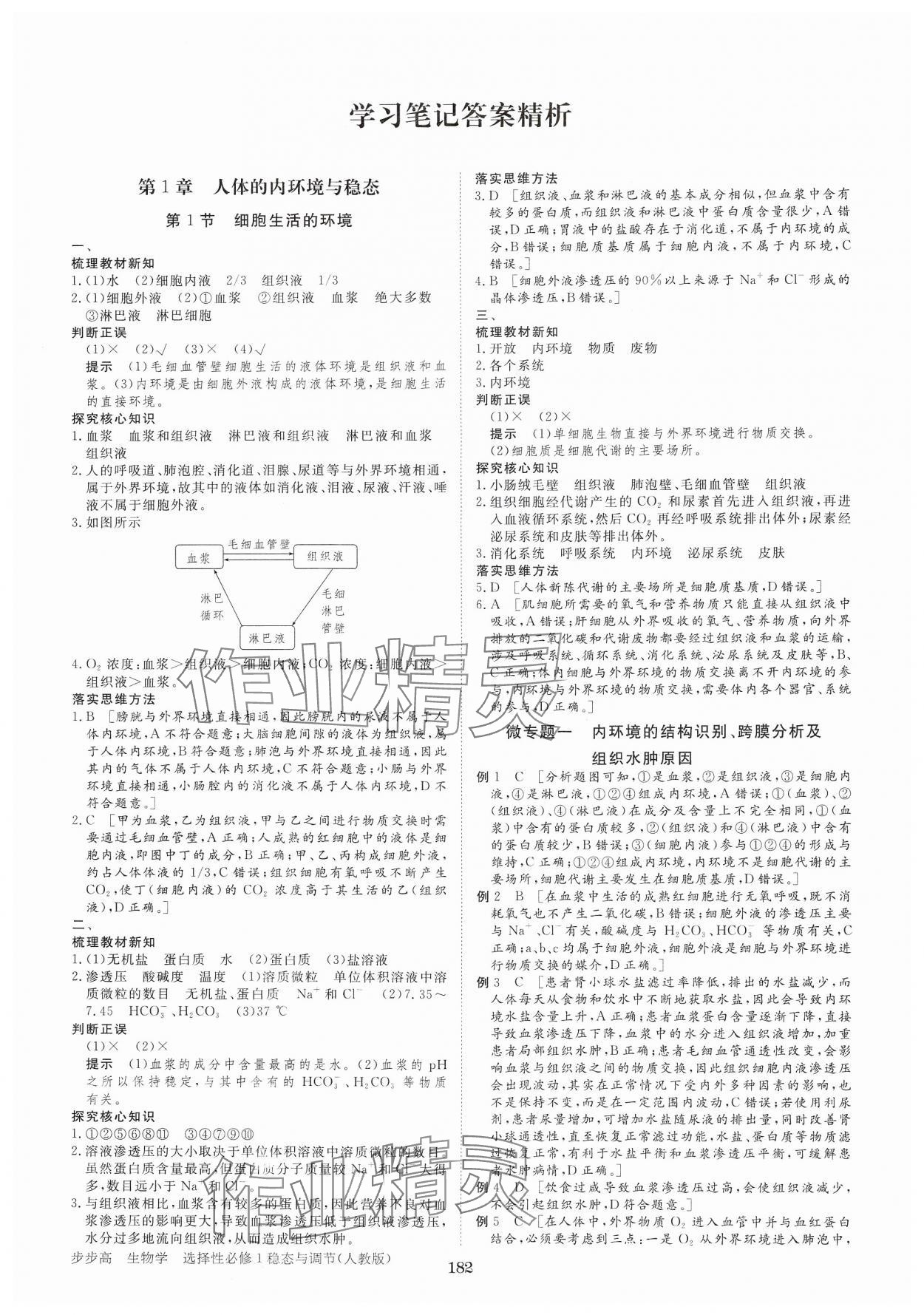 2024年步步高學習筆記高中生物選擇性必修1人教版 參考答案第1頁