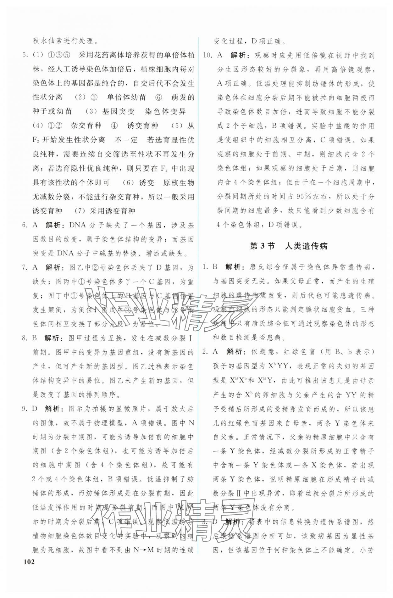 2024年優(yōu)化學(xué)案高中生物必修2人教版 參考答案第7頁(yè)