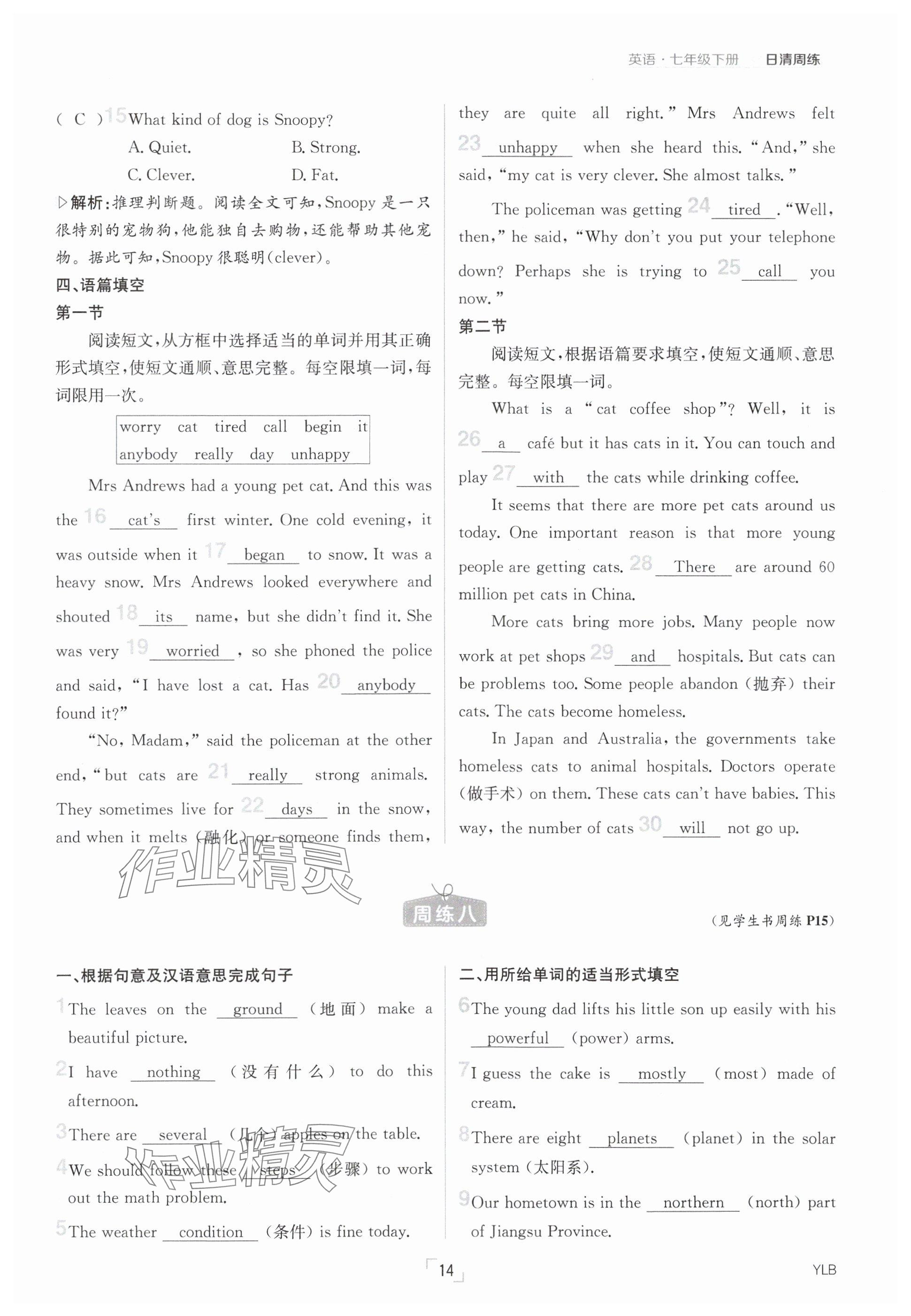 2025年日清周練七年級英語下冊譯林版 參考答案第14頁