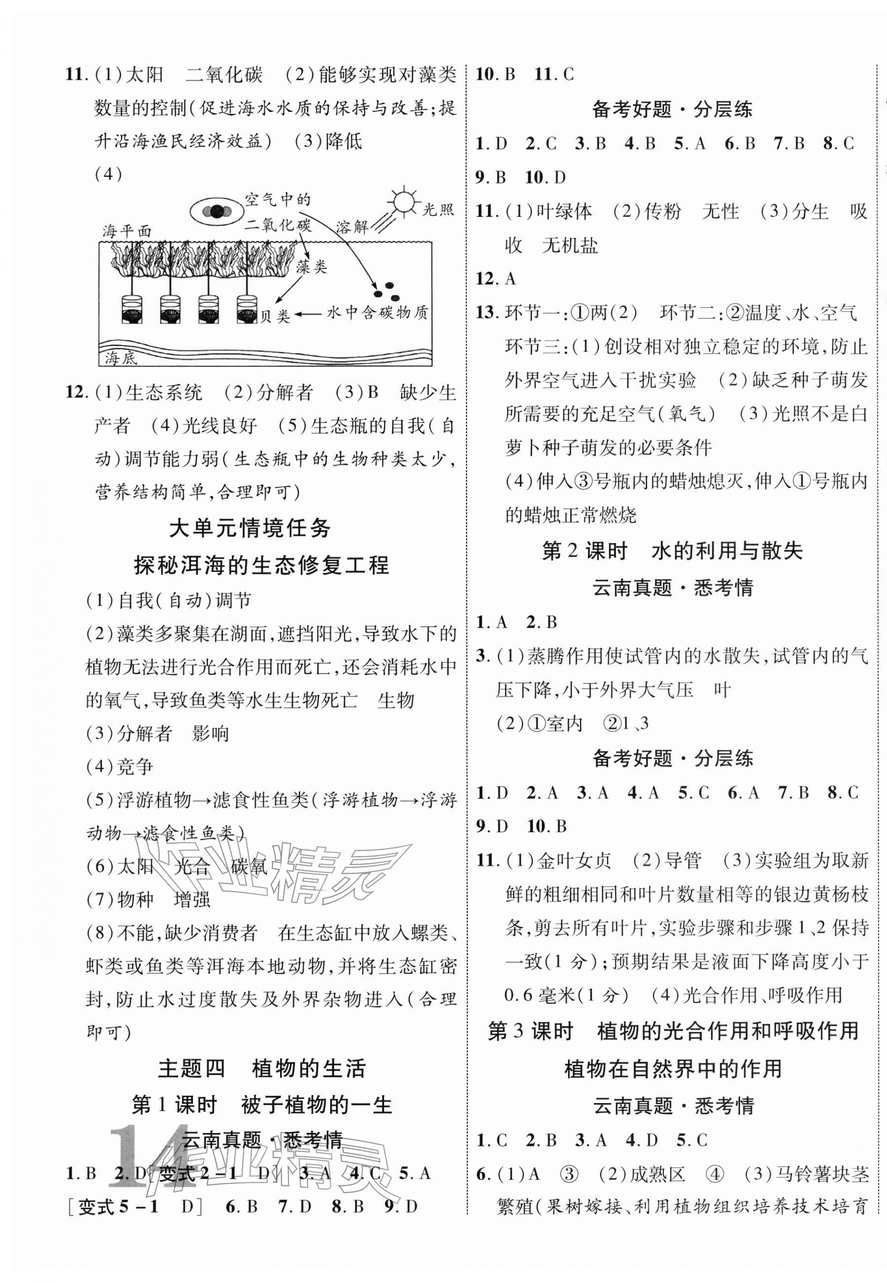 2026年中考新突破生物云南专版&nbsp;第3页