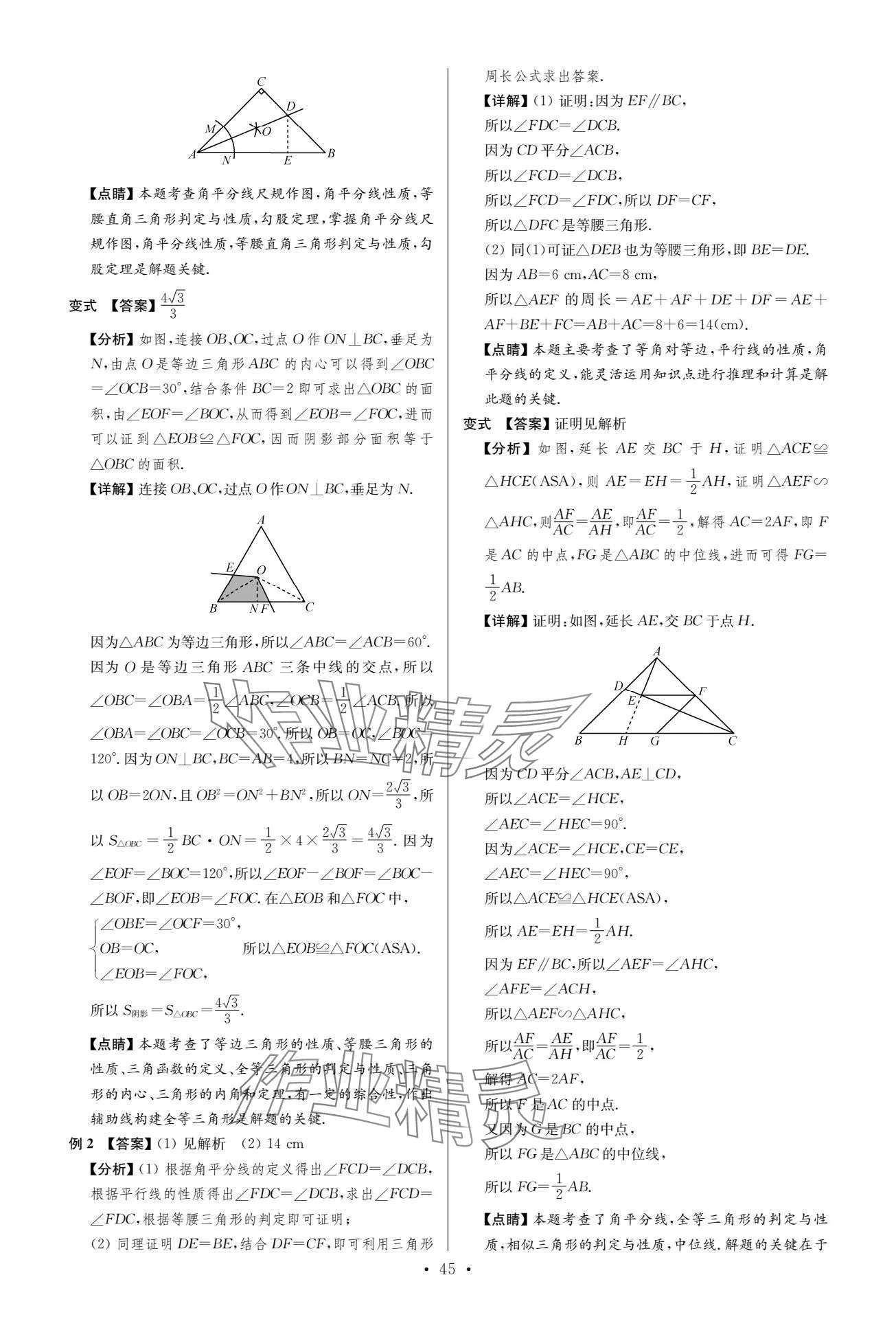 2024年中考復(fù)習(xí)奪冠寶典數(shù)學(xué)江蘇專版 參考答案第45頁