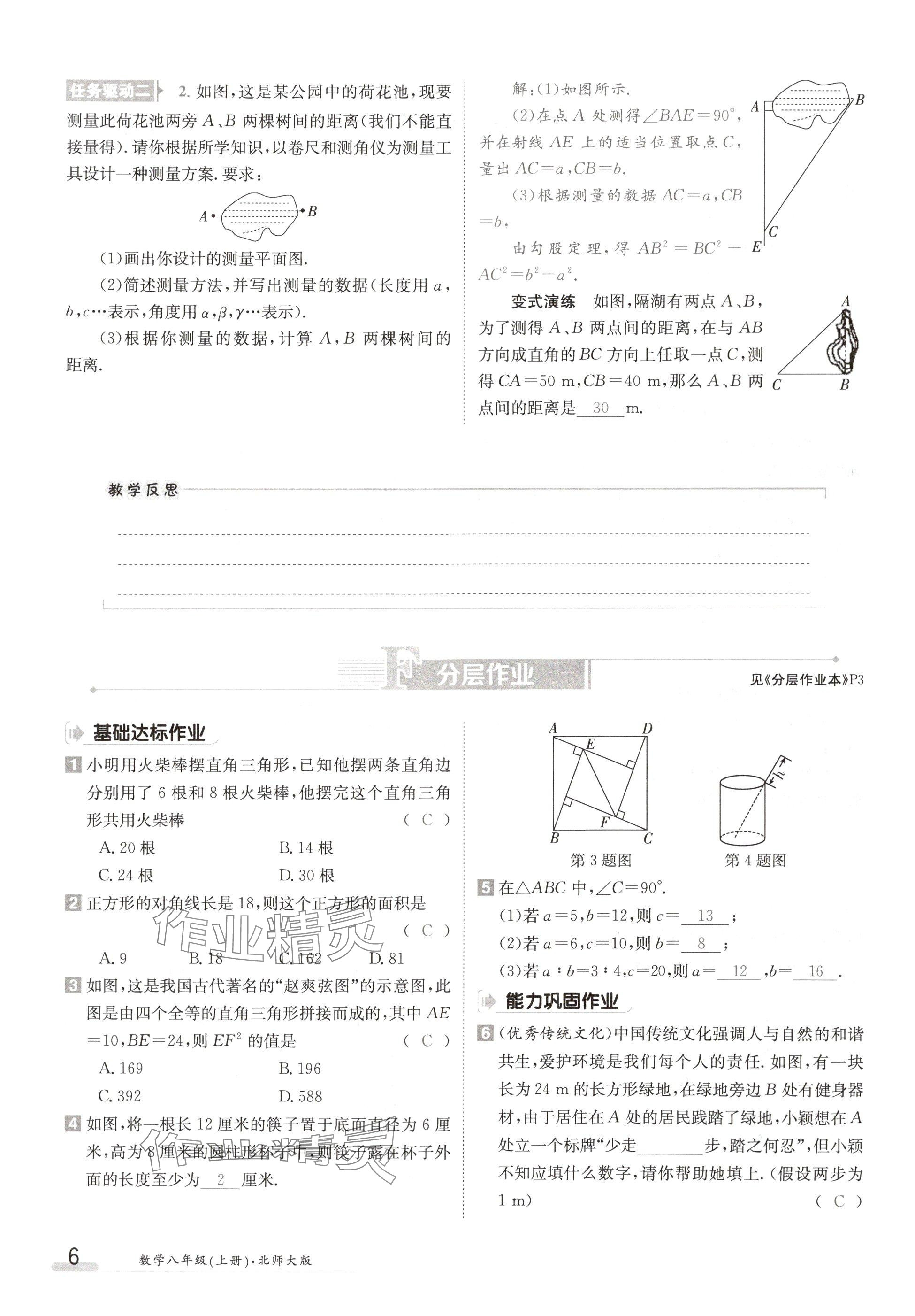 2024年金太陽導(dǎo)學(xué)案八年級數(shù)學(xué)上冊北師大版 參考答案第6頁