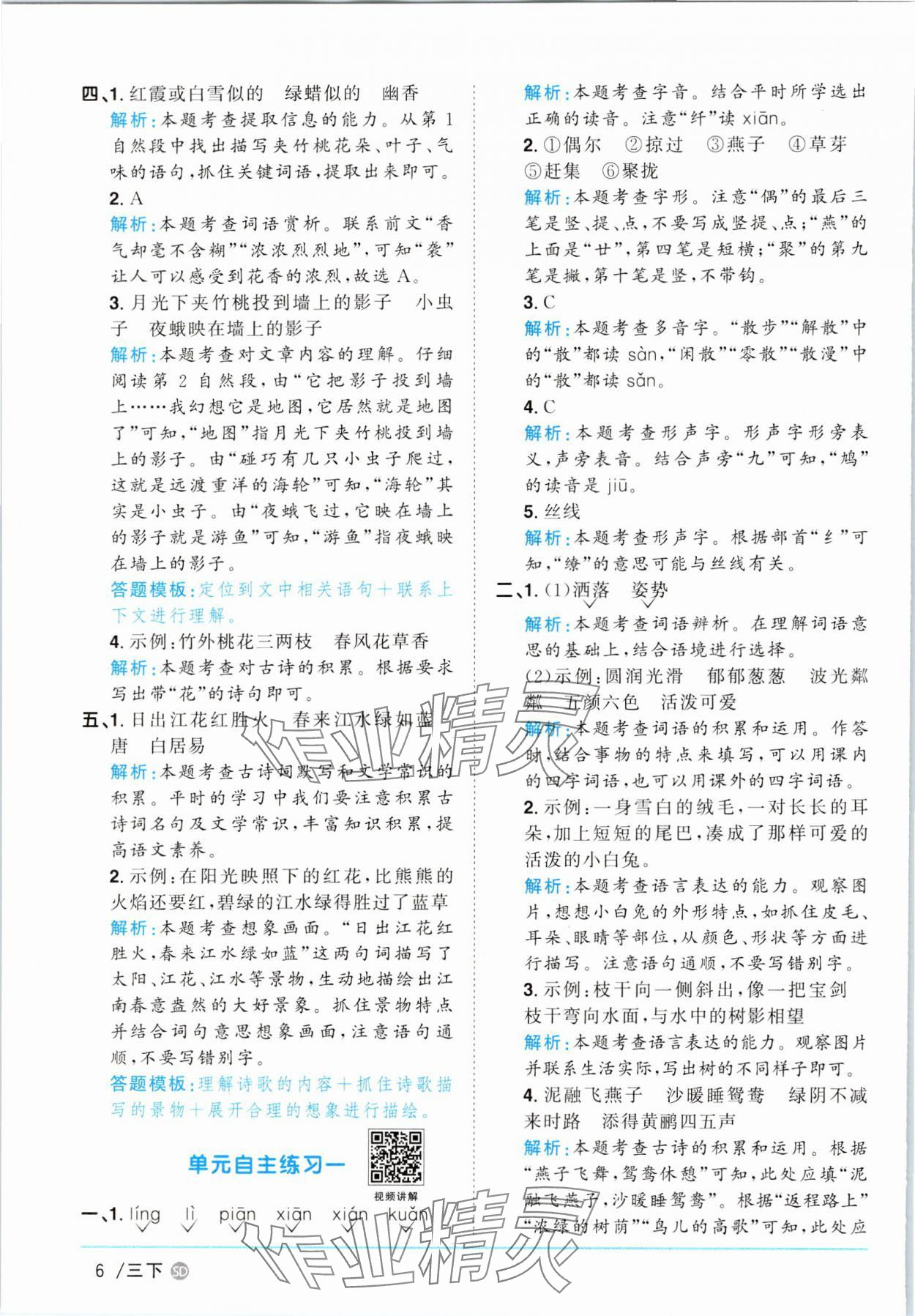 2025年阳光同学课时优化作业三年级语文下册人教版菏泽专版&nbsp;参考答案第6页