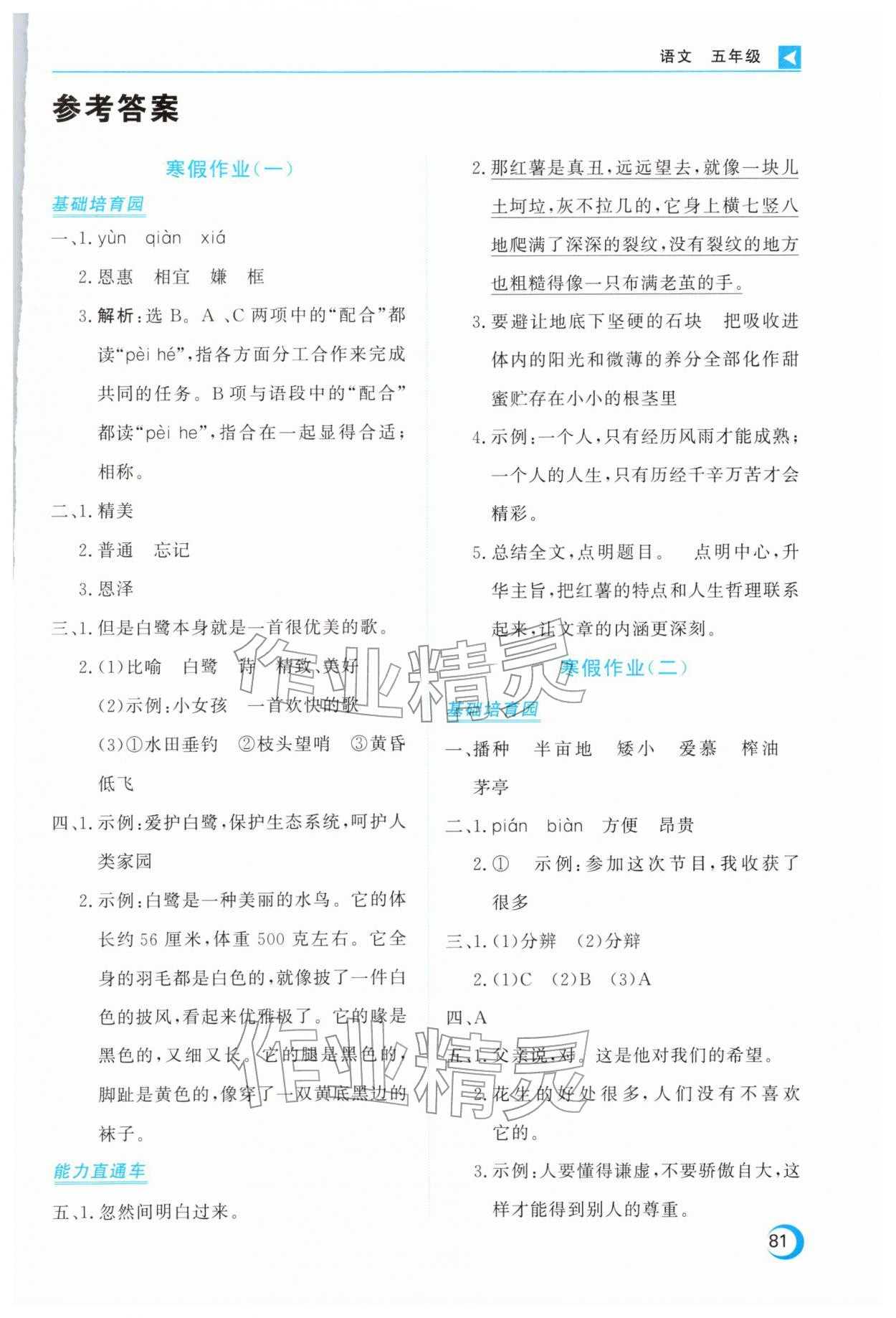 2026年導(dǎo)學(xué)練寒假作業(yè)云南教育出版社五年級(jí)語(yǔ)文&nbsp;第1頁(yè)