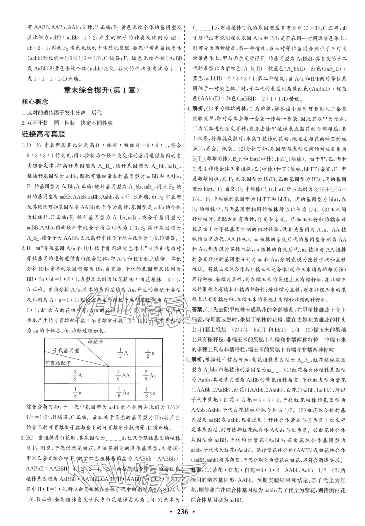 2024年創(chuàng)新思維同步導(dǎo)學(xué)案高中生物必修2人教版 第6頁