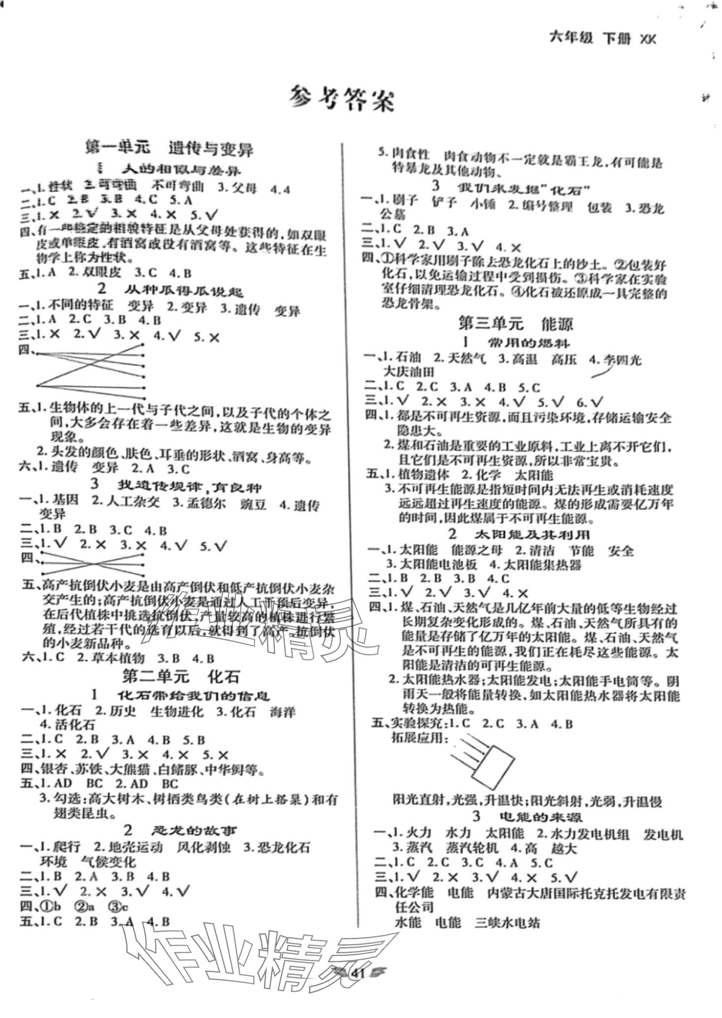 2024年名師精編A+作業(yè)六年級科學(xué)下冊湘科版 第1頁