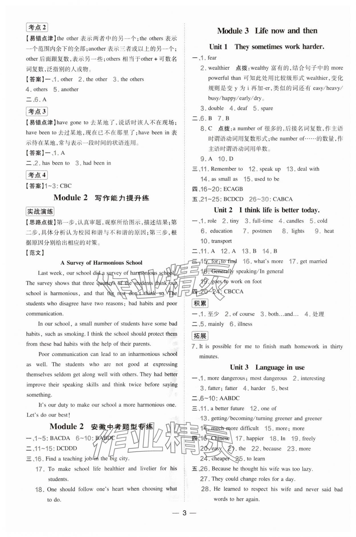 2025年點撥訓練九年級英語下冊外研版安徽專版 參考答案第3頁