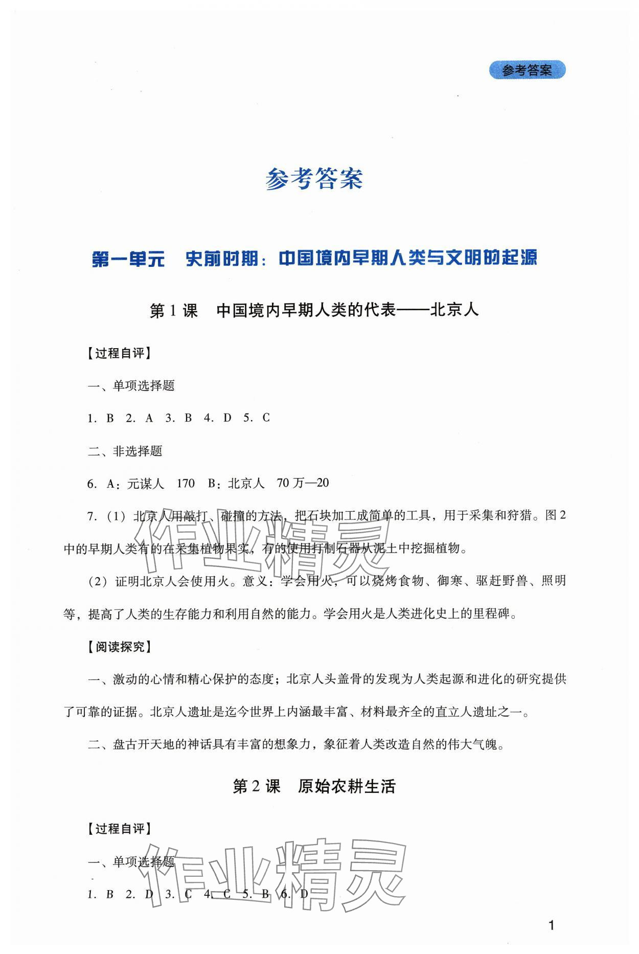 2023年新课程实践与探究丛书七年级历史上册人教版 第1页