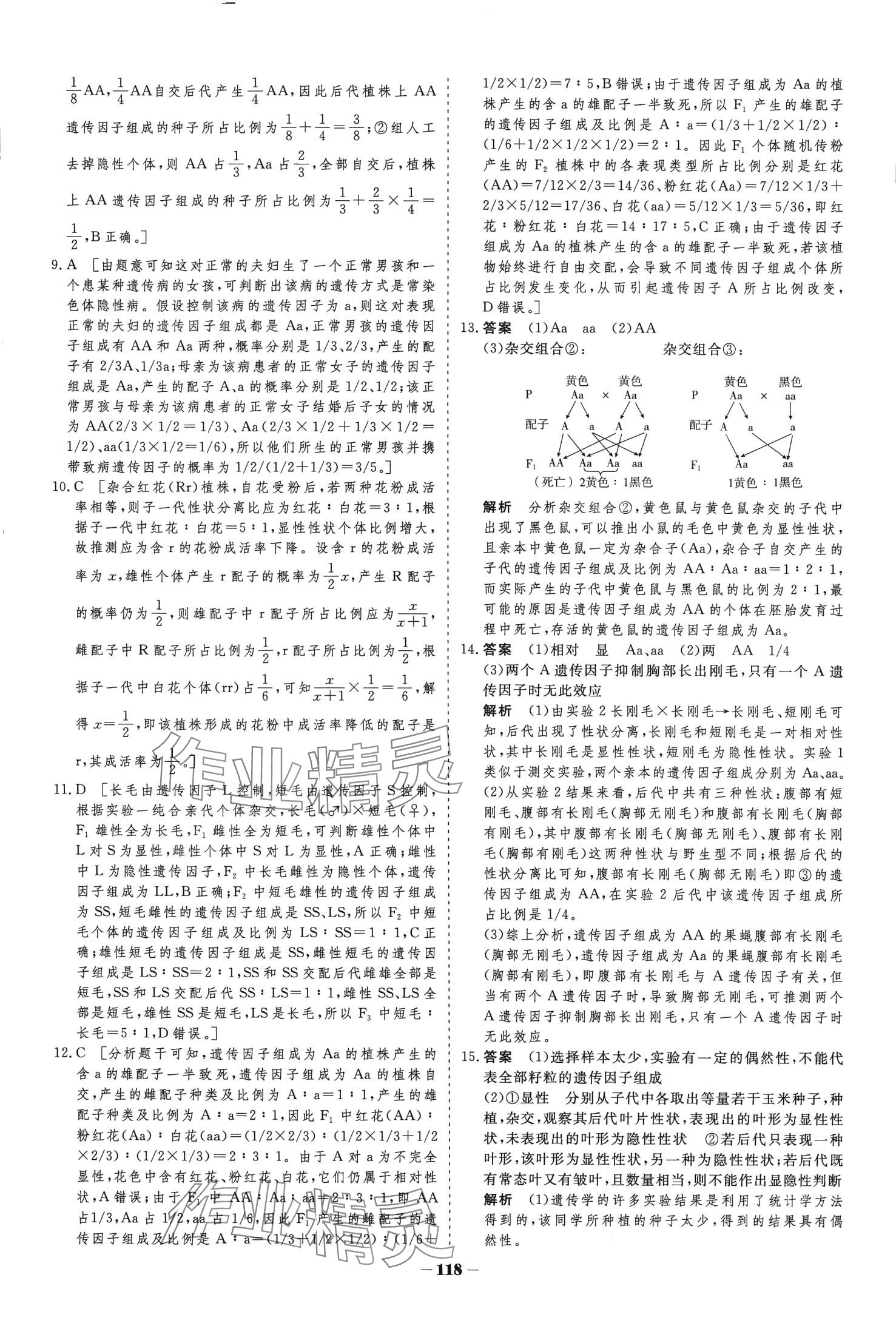 2024年金版教程高中新課程學(xué)習(xí)作業(yè)與測(cè)評(píng)高中生物必修2人教版 第3頁