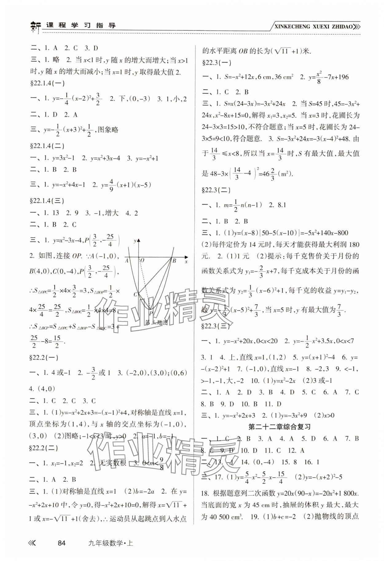 2024年新課程學(xué)習(xí)指導(dǎo)南方出版社九年級數(shù)學(xué)上冊人教版 參考答案第3頁