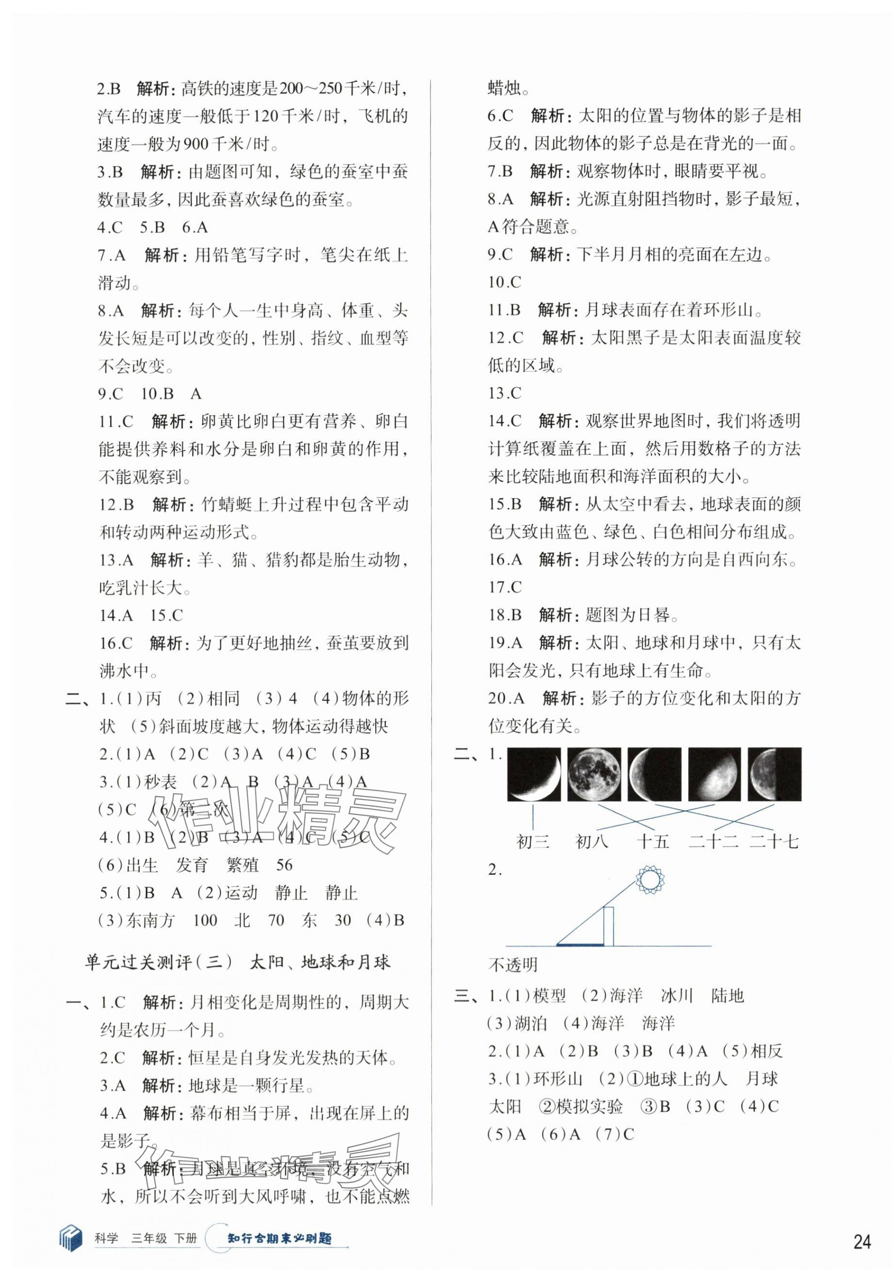 2024年知行合期末必刷題三年級科學(xué)下冊教科版 參考答案第3頁