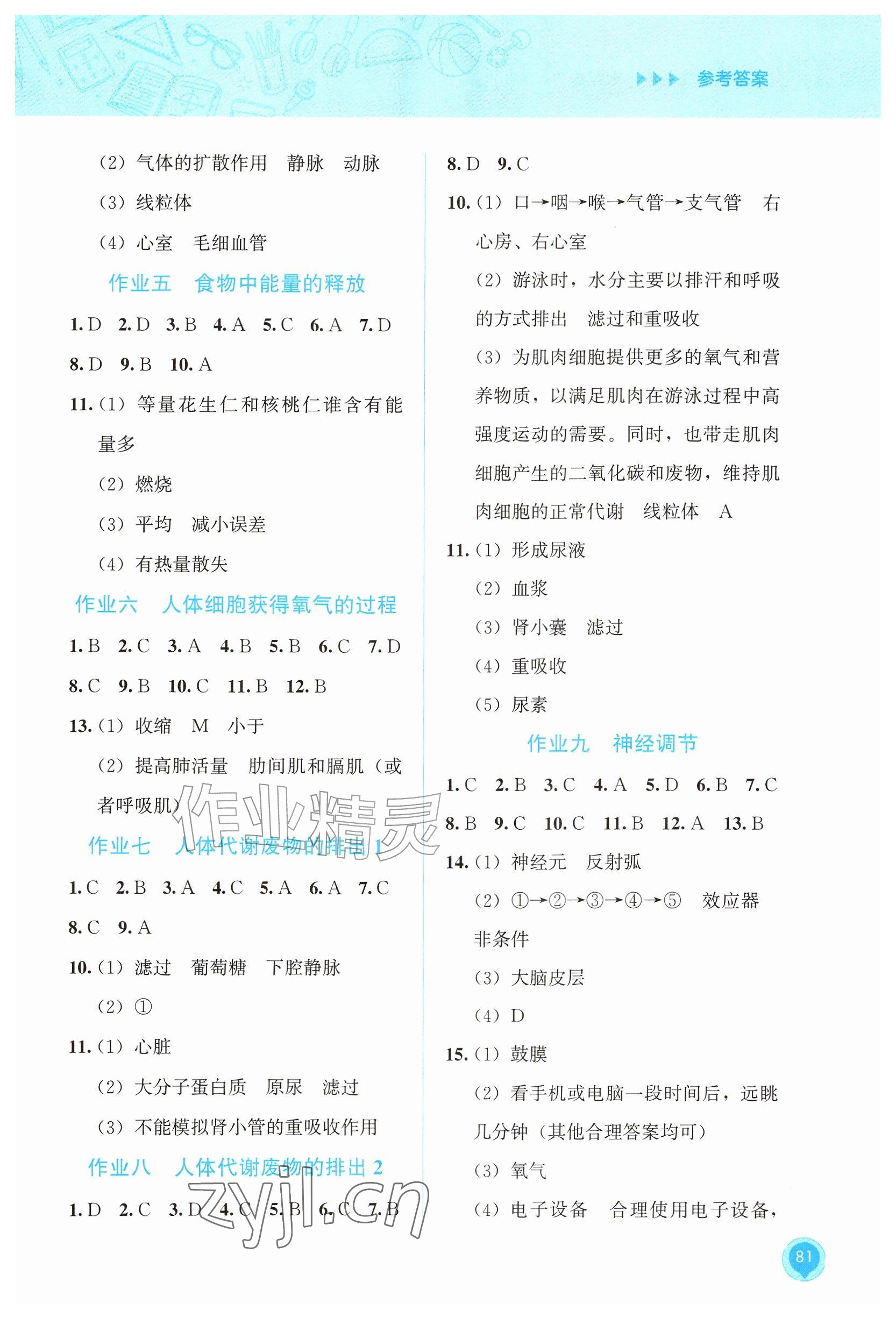 2026年暑假作业教育科学出版社七年级生物广西专版&nbsp;参考答案第2页