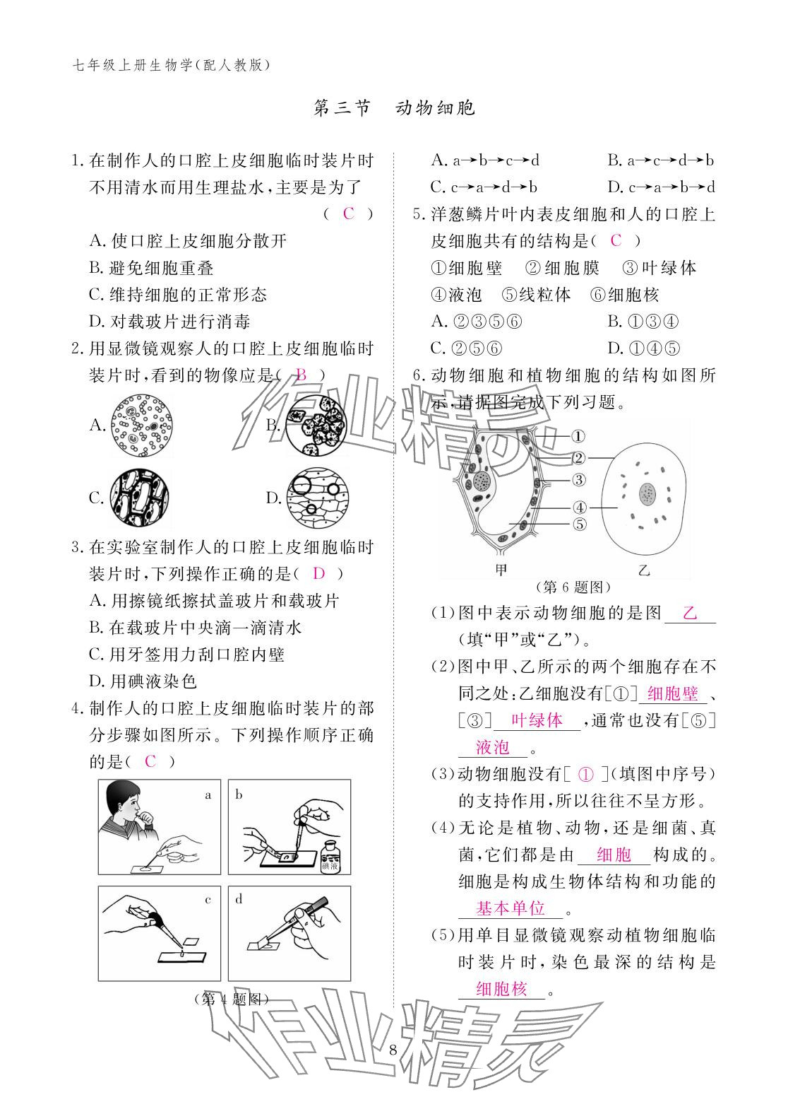 2025年作业本江西教育出版社七年级生物上册人教版 参考答案第8页