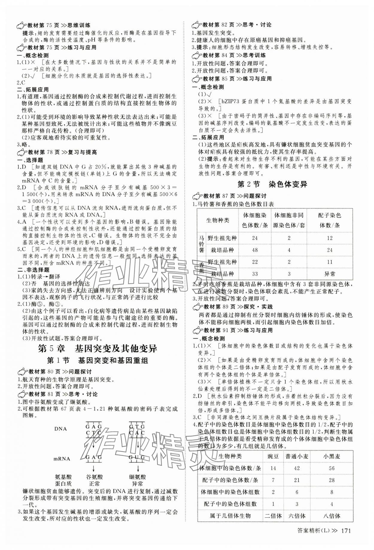 2023年創(chuàng)新設(shè)計(jì)創(chuàng)新課堂生物必修2遺傳與進(jìn)化人教版 參考答案第6頁