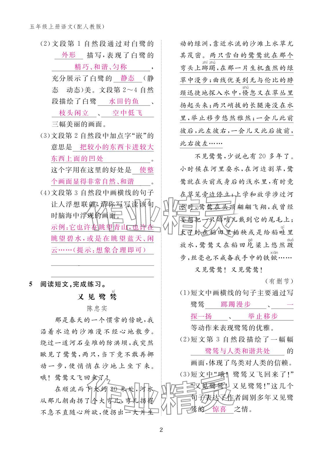 2025年作业本江西教育出版社五年级语文上册人教版 参考答案第2页