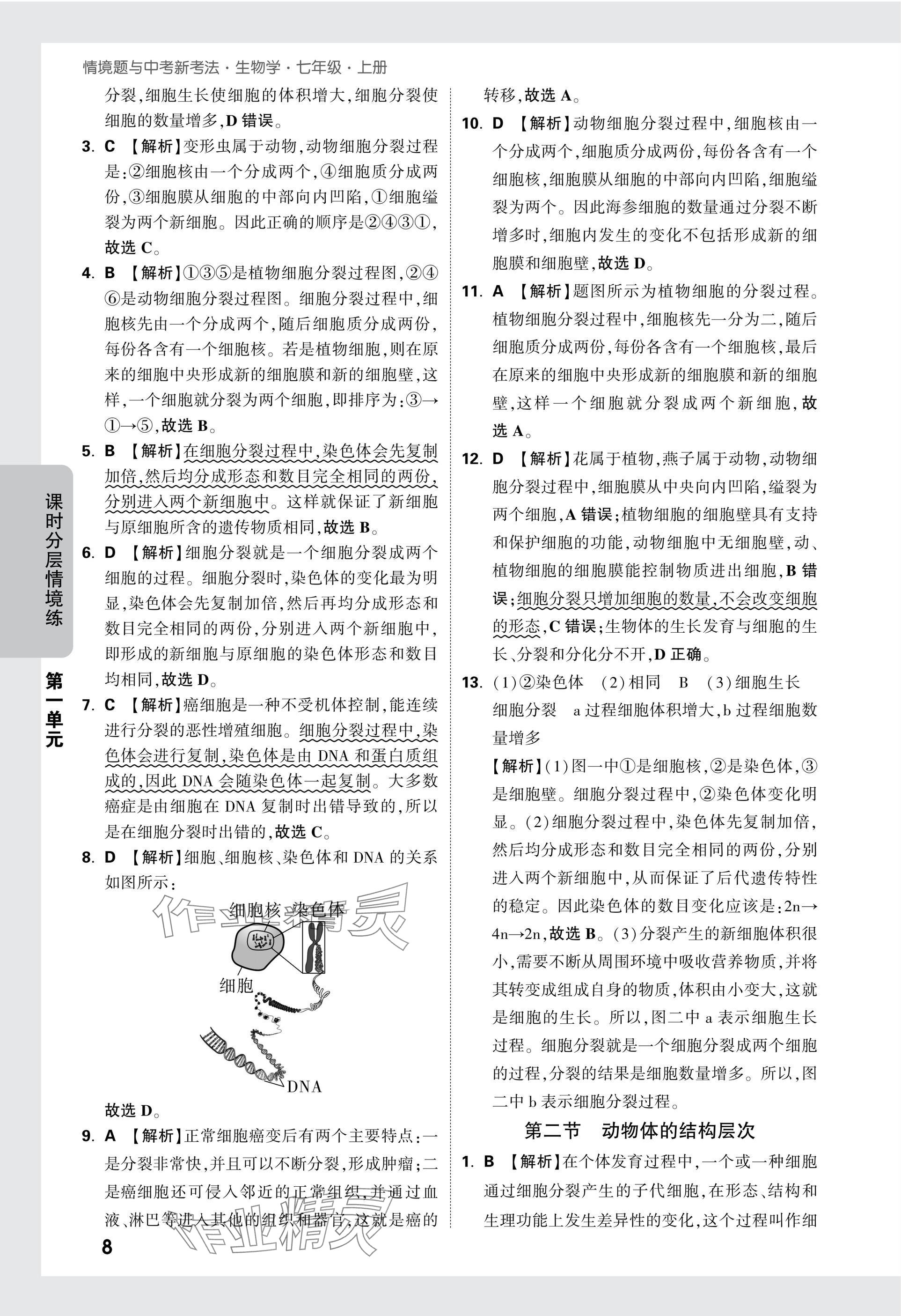 2025版萬唯中考情境題七年級生物上冊人教版 參考答案第8頁