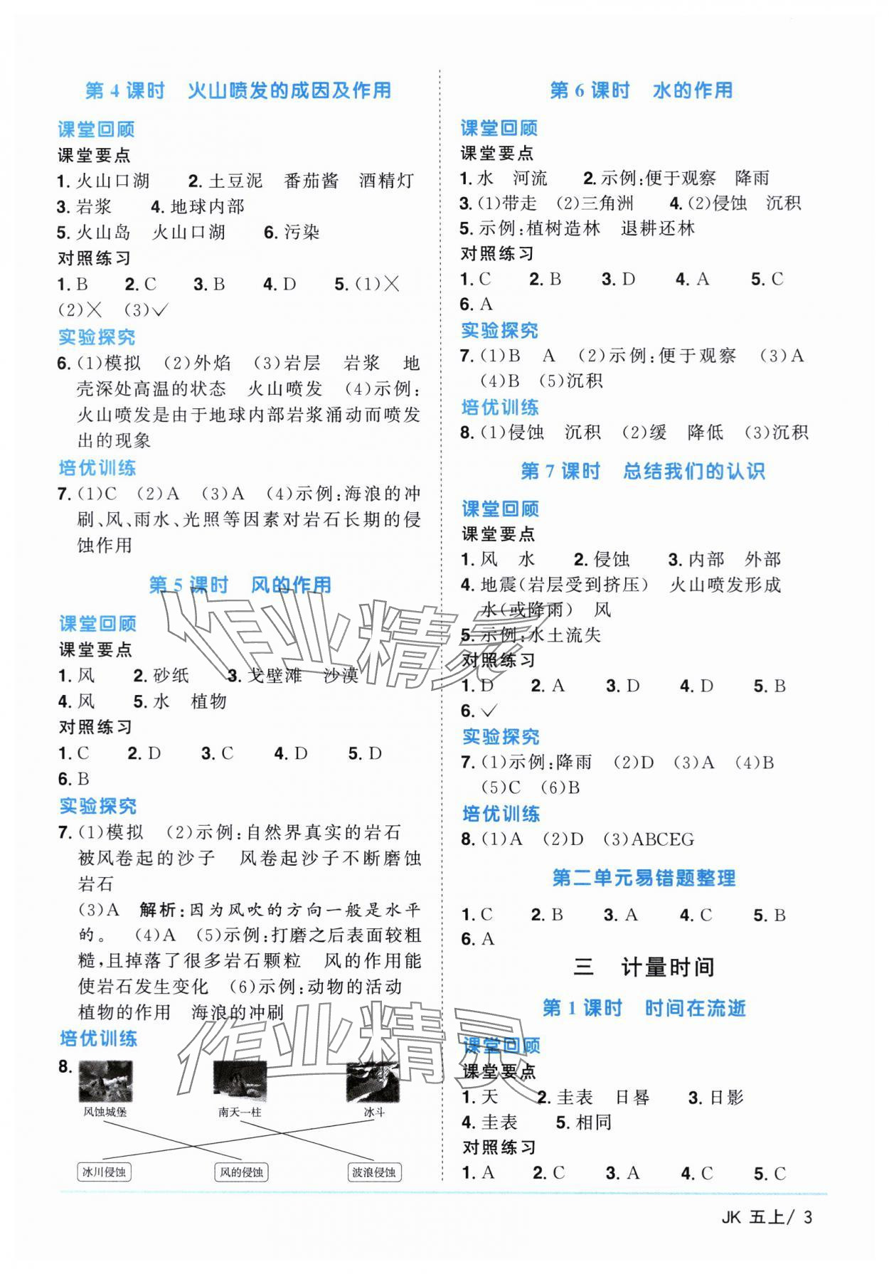 2024年阳光同学课时优化作业五年级科学上册教科版 第3页