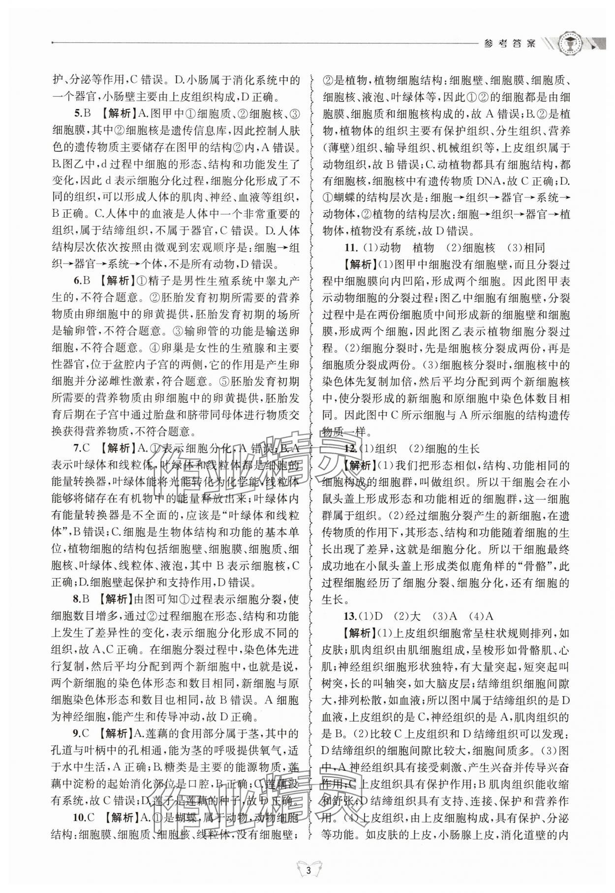 2025年重點中學與你有約七年級科學下冊浙教版 第3頁
