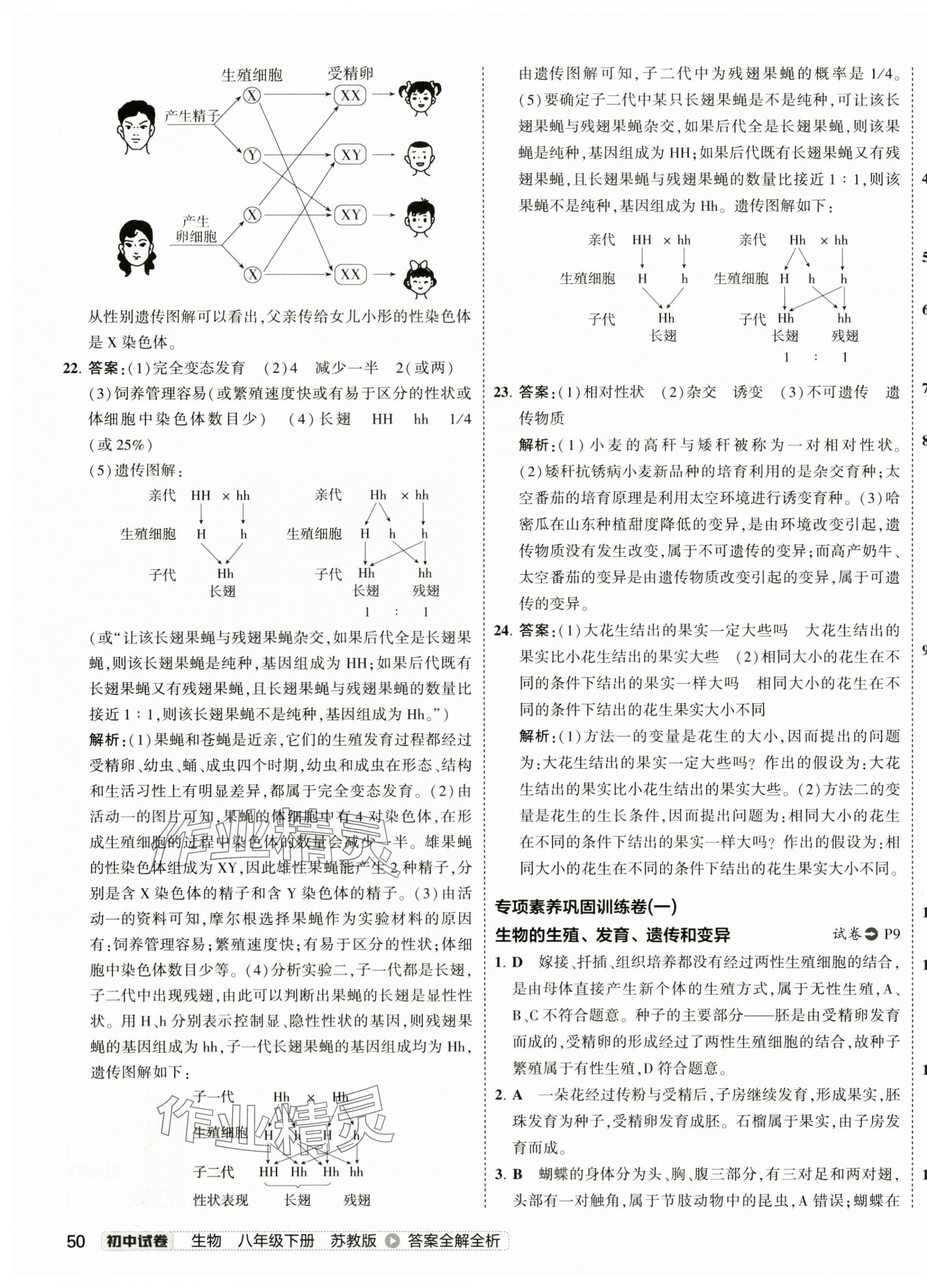 2025年5年中考3年模擬初中試卷生物中考蘇教版 第7頁