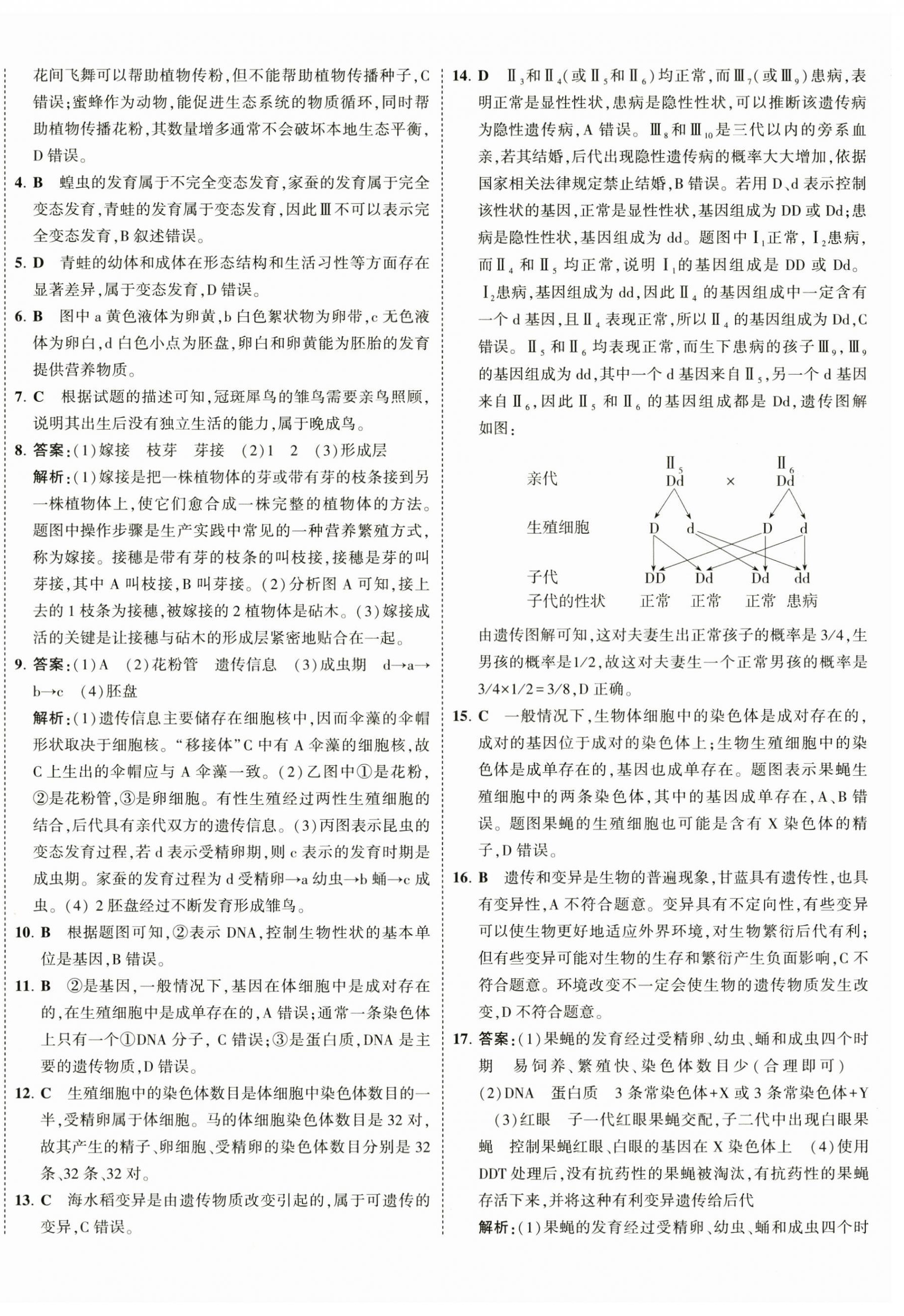 2025年5年中考3年模擬初中試卷生物中考蘇教版 第8頁