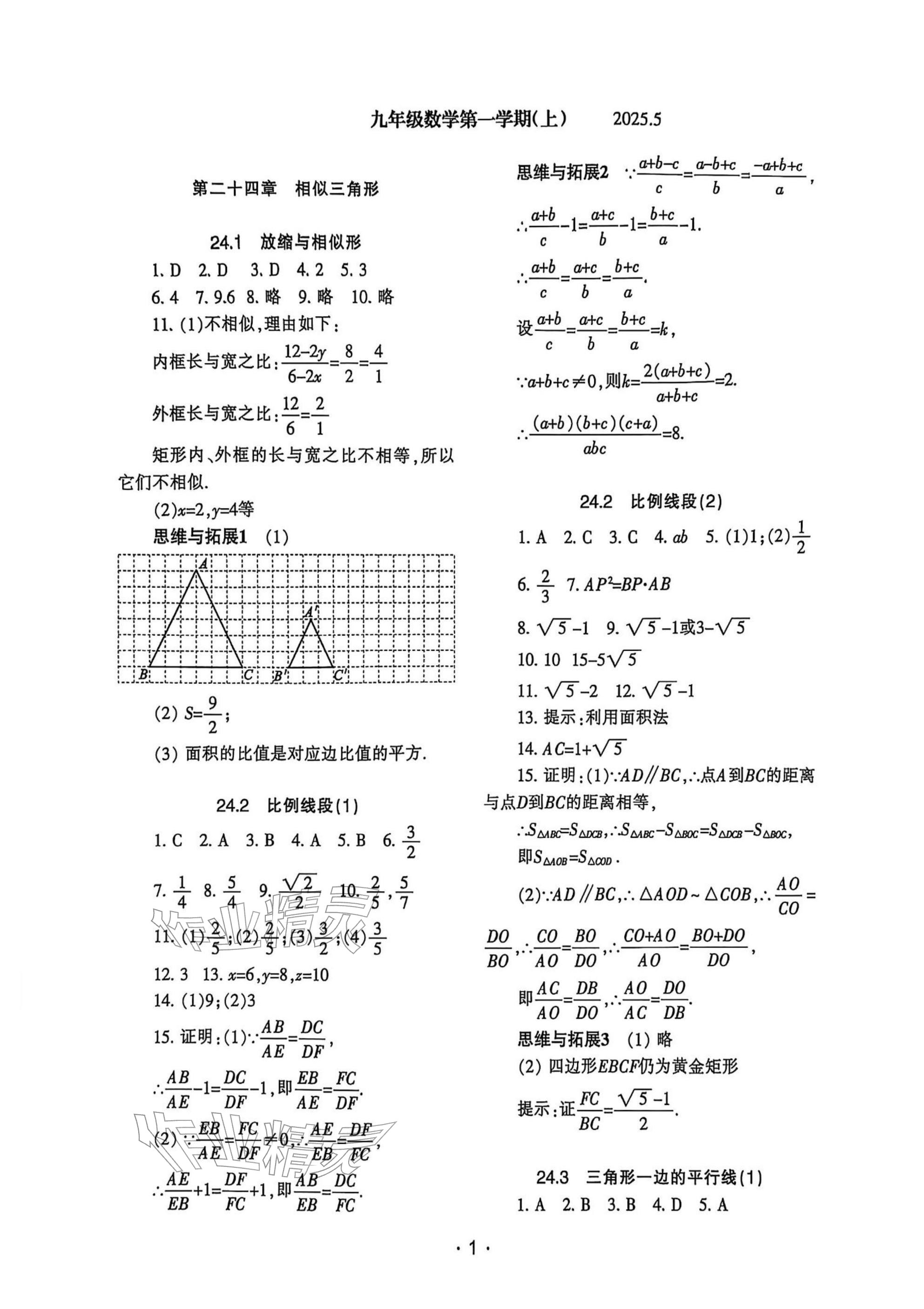 2025年中学生世界九年级数学上册沪教版五四制 参考答案第1页