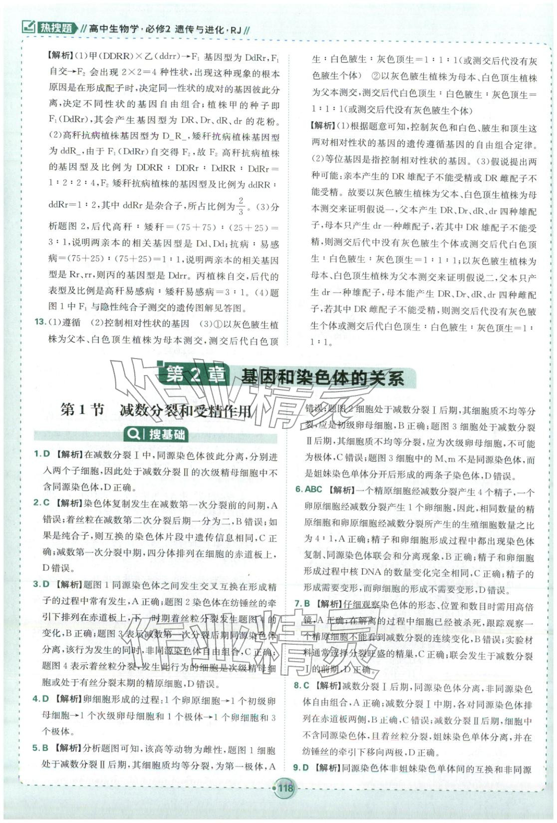 2026年热搜题高中生物必修第二册人教版 第12页