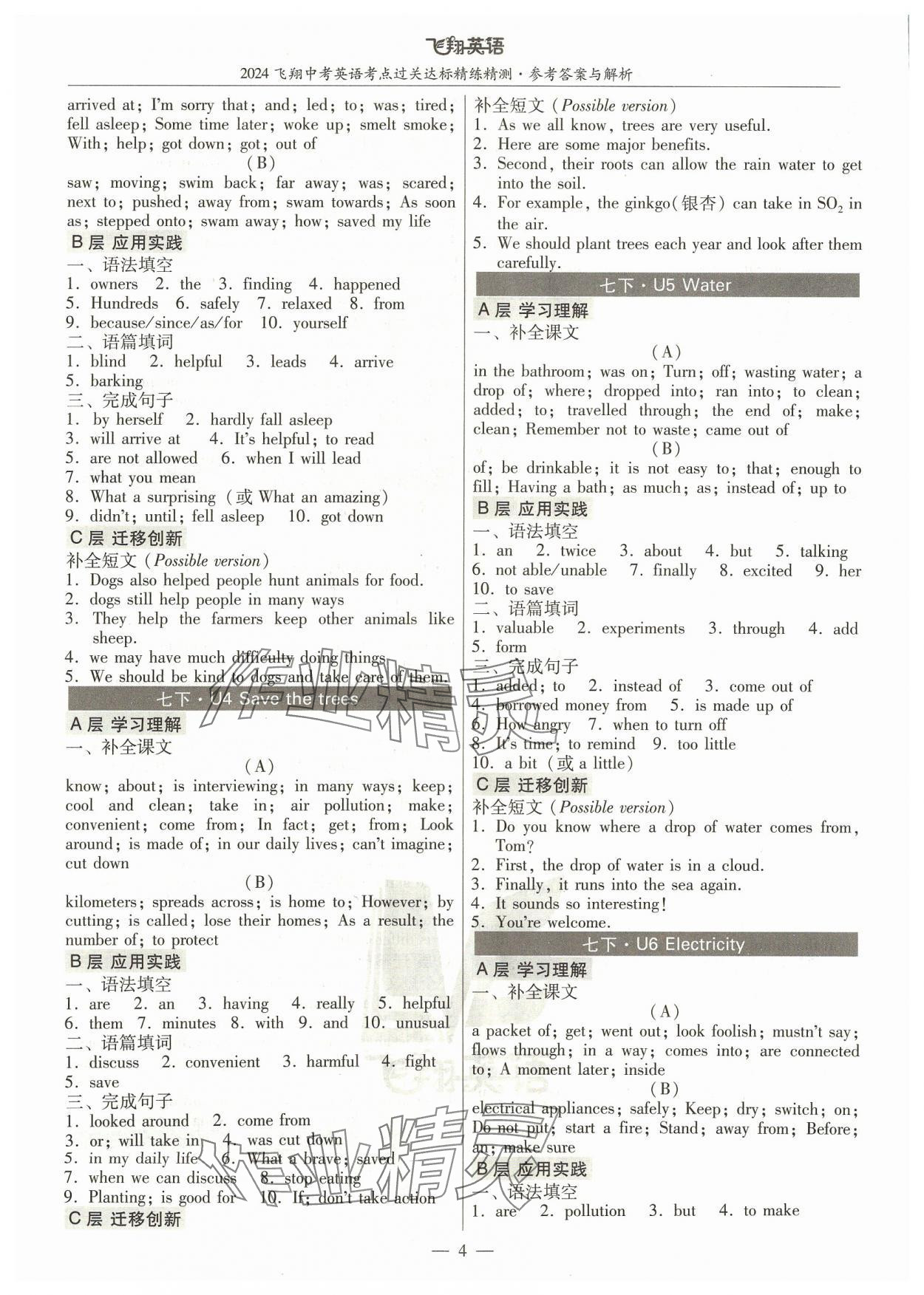 2024年飞翔英语中考广州专版&nbsp;参考答案第4页
