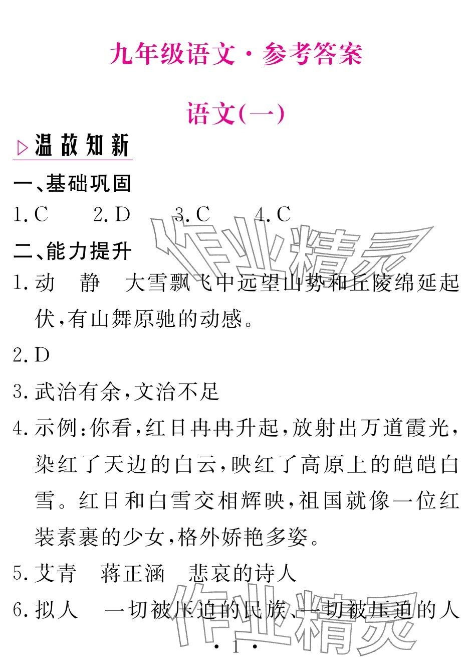 2024年天舟文化精彩寒假團(tuán)結(jié)出版社九年級(jí)語文 參考答案第1頁