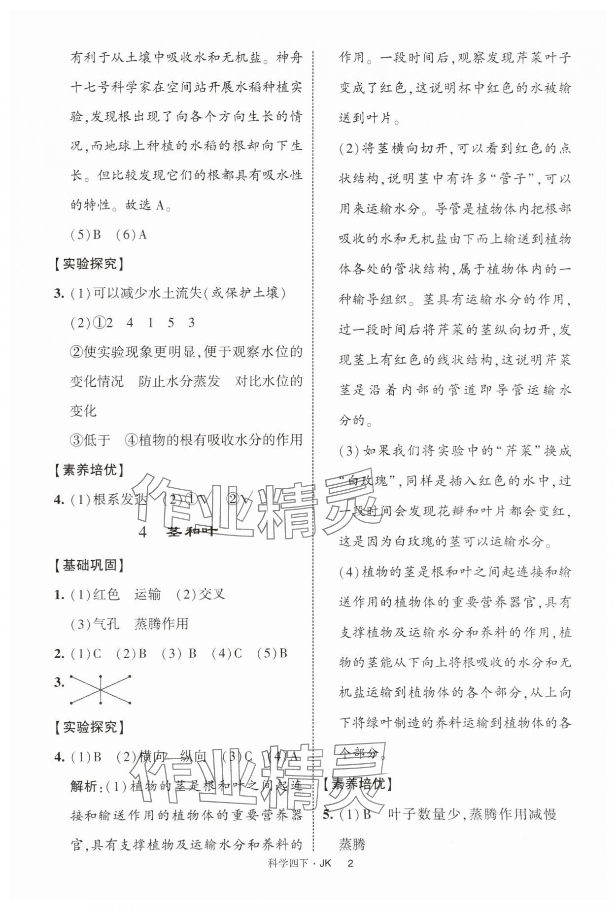 2025年经纶学典提高班四年级科学下册教科版 第2页