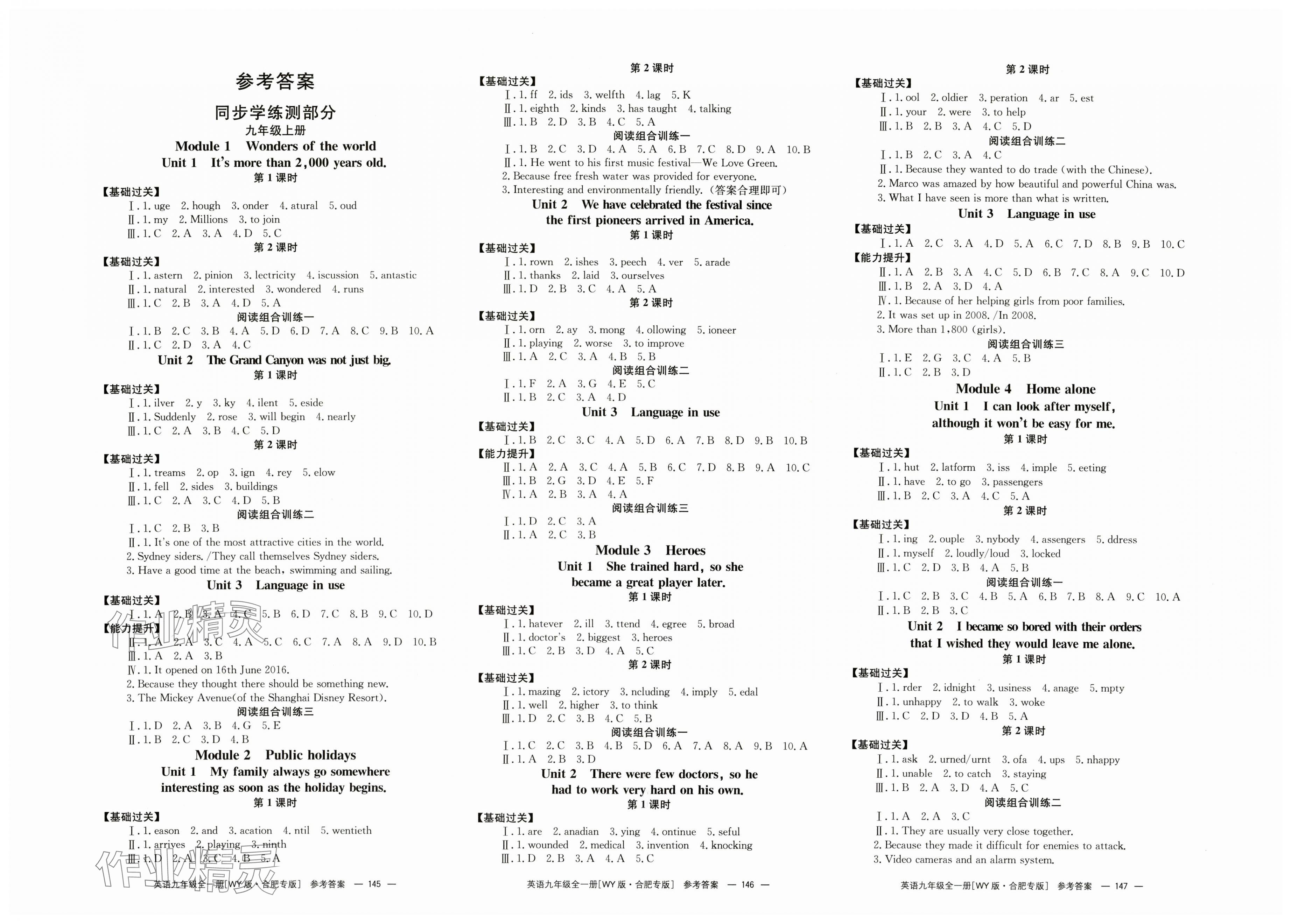 2025年全效學(xué)習(xí)同步學(xué)練測九年級英語全一冊外研版合肥專版 第1頁