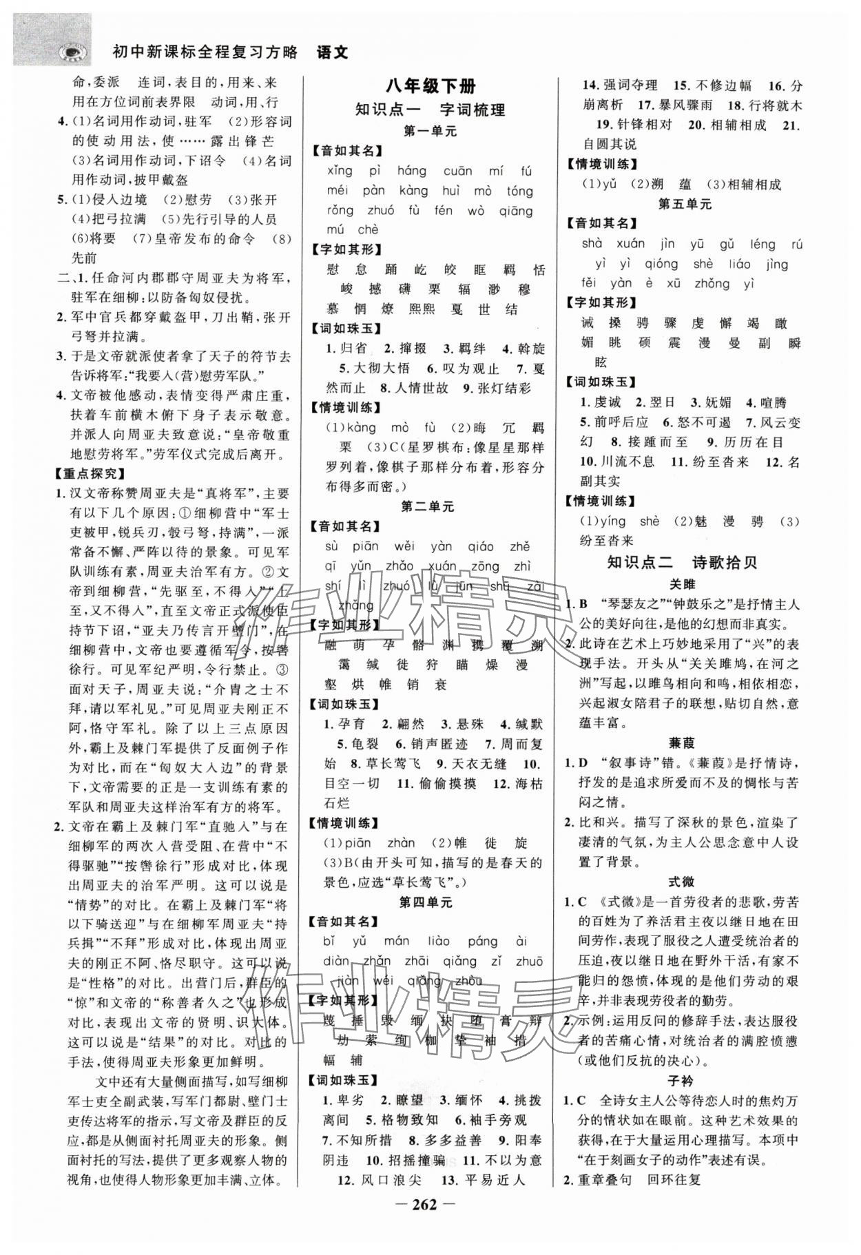 2025年世紀(jì)金榜初中全程復(fù)習(xí)方略語(yǔ)文江蘇專版 參考答案第9頁(yè)