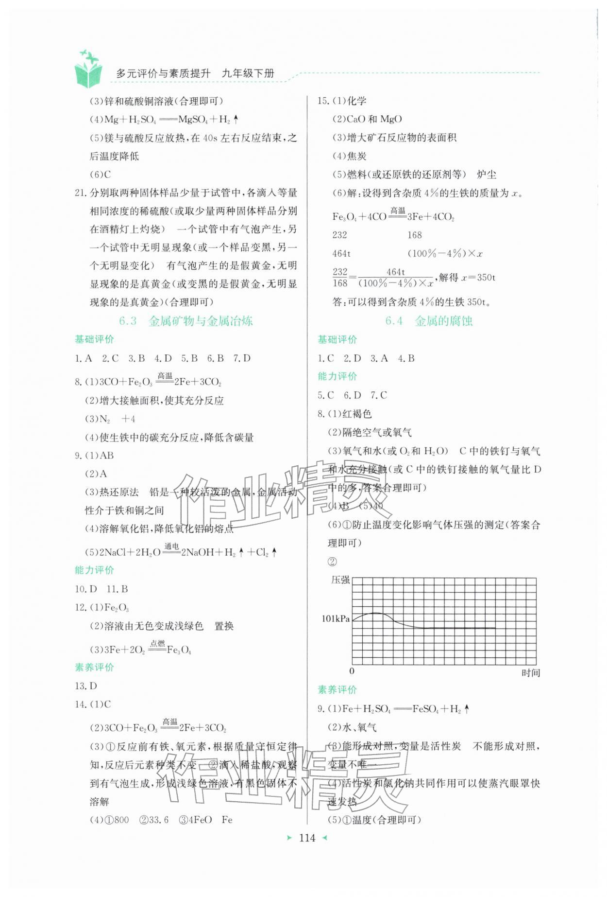 2026年多元评价与素质提升九年级化学下册科粤版&nbsp;第2页