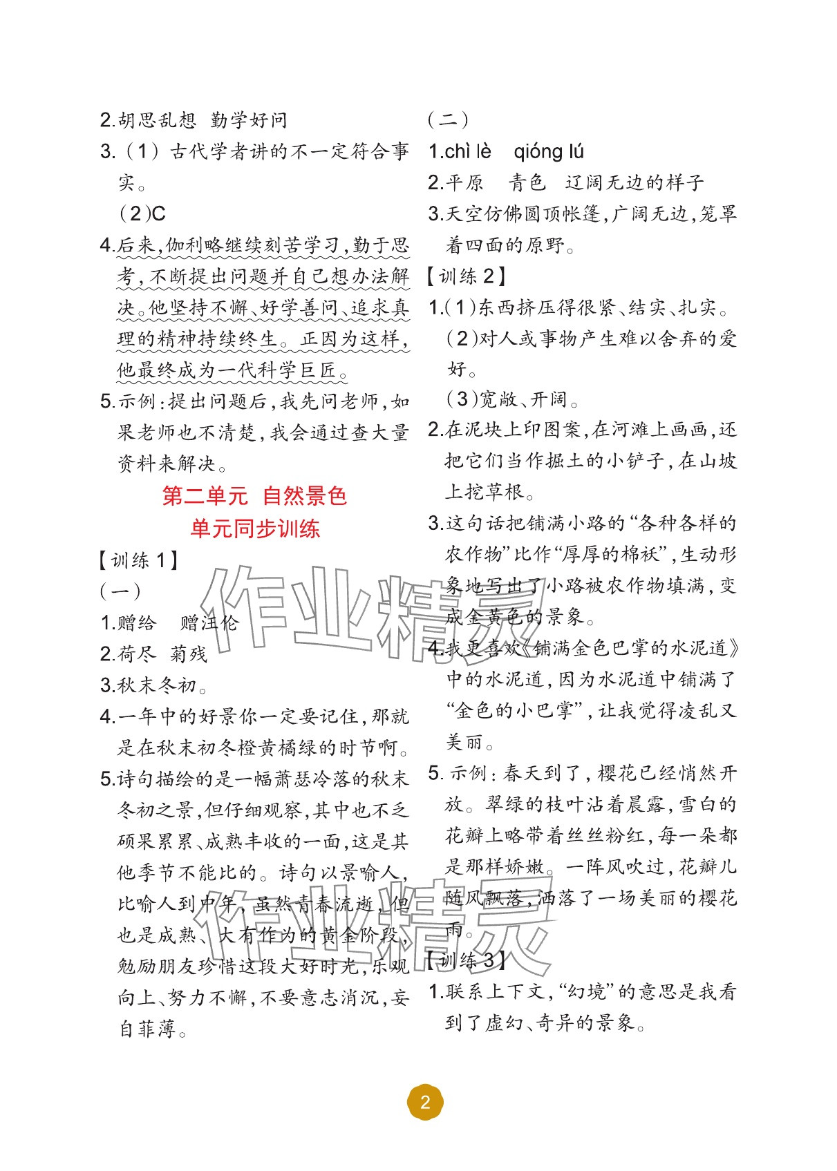 2025年阅读理解专项训练三年级语文上册人教版 参考答案第2页