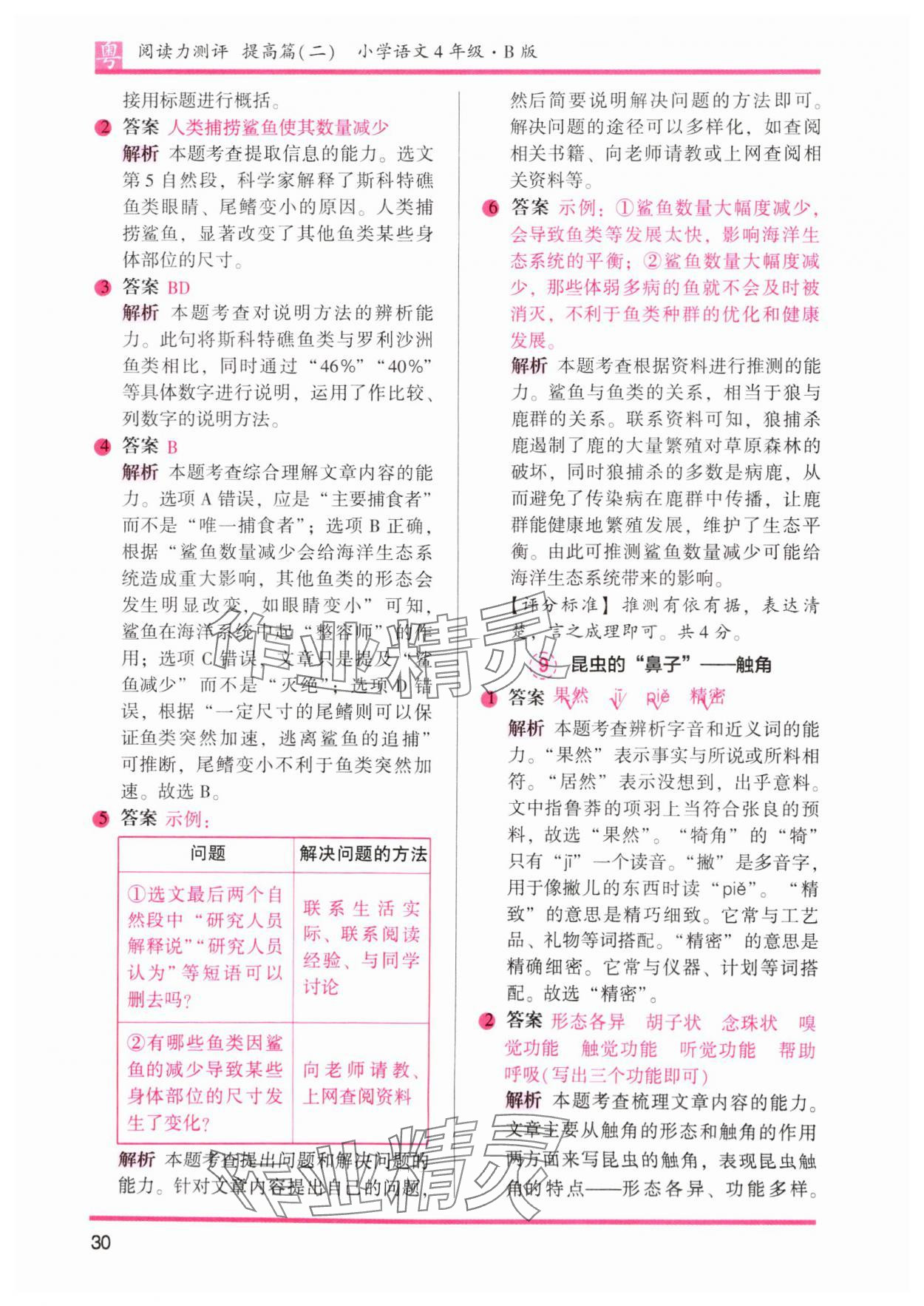 2025年木頭馬閱讀力測評四年級語文下冊人教版B版廣東專版 第11頁