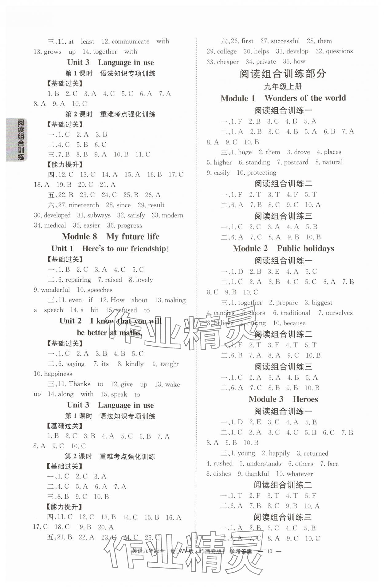 2024年全效學(xué)習(xí)同步學(xué)練測(cè)九年級(jí)英語全一冊(cè)外研版廣西專版 第10頁